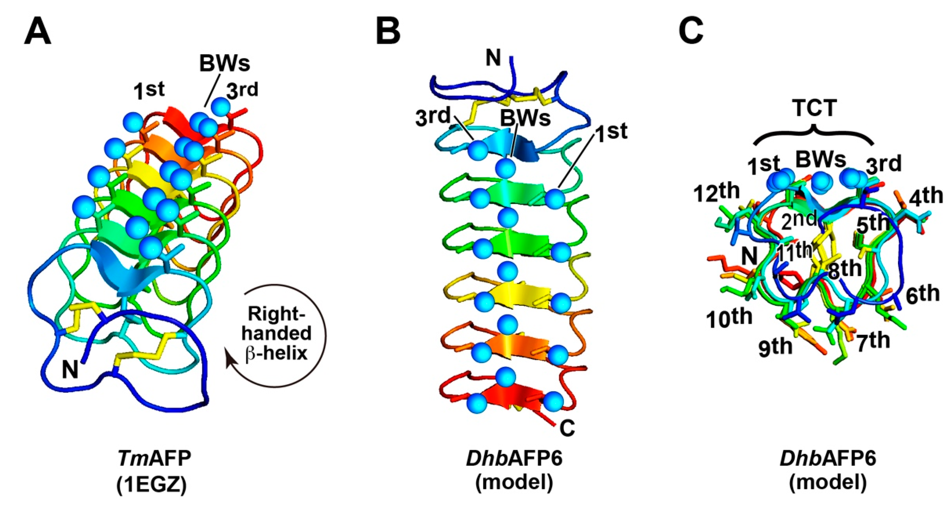 Ijms 22 03637 g004 Ijms 22 03637 g004