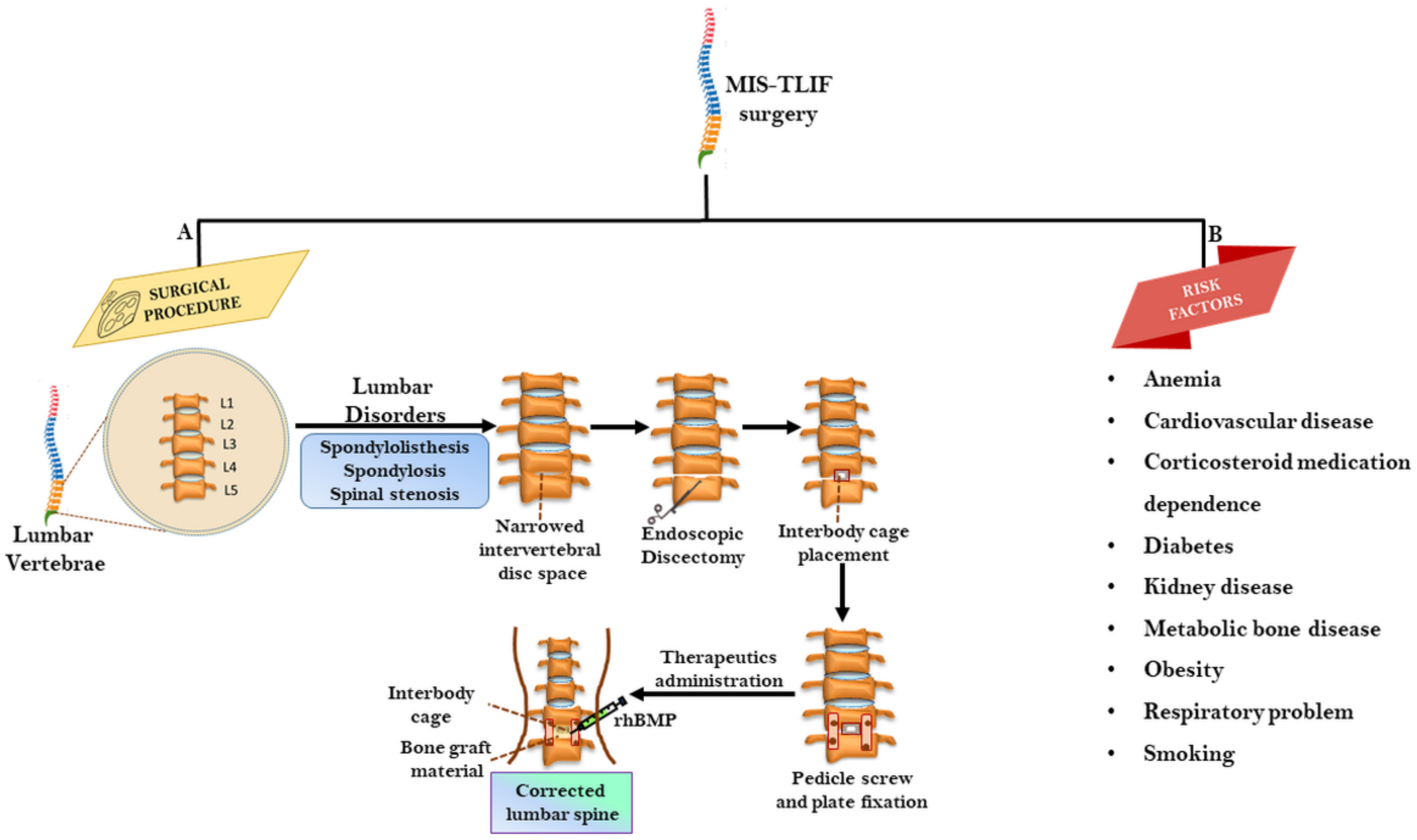 Ijms 22 03638 g001 Ijms 22 03638 g001