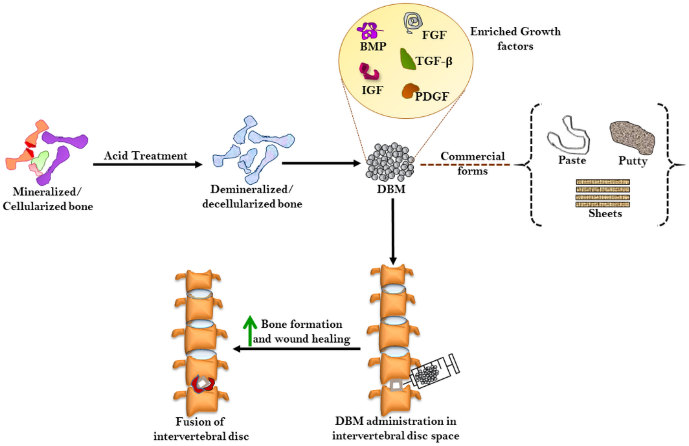 Ijms 22 03638 g003 Ijms 22 03638 g003