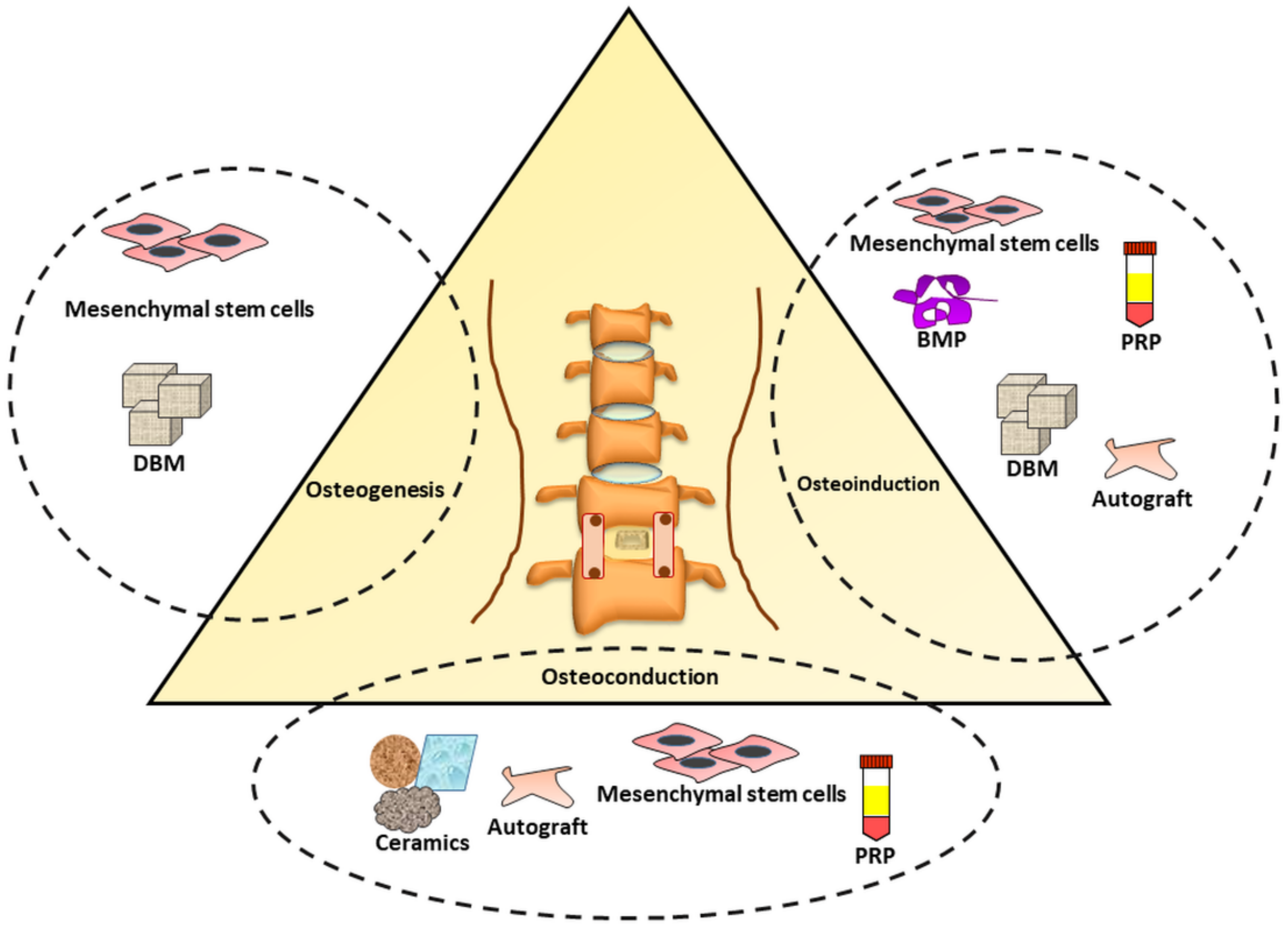 Ijms 22 03638 g004 Ijms 22 03638 g004