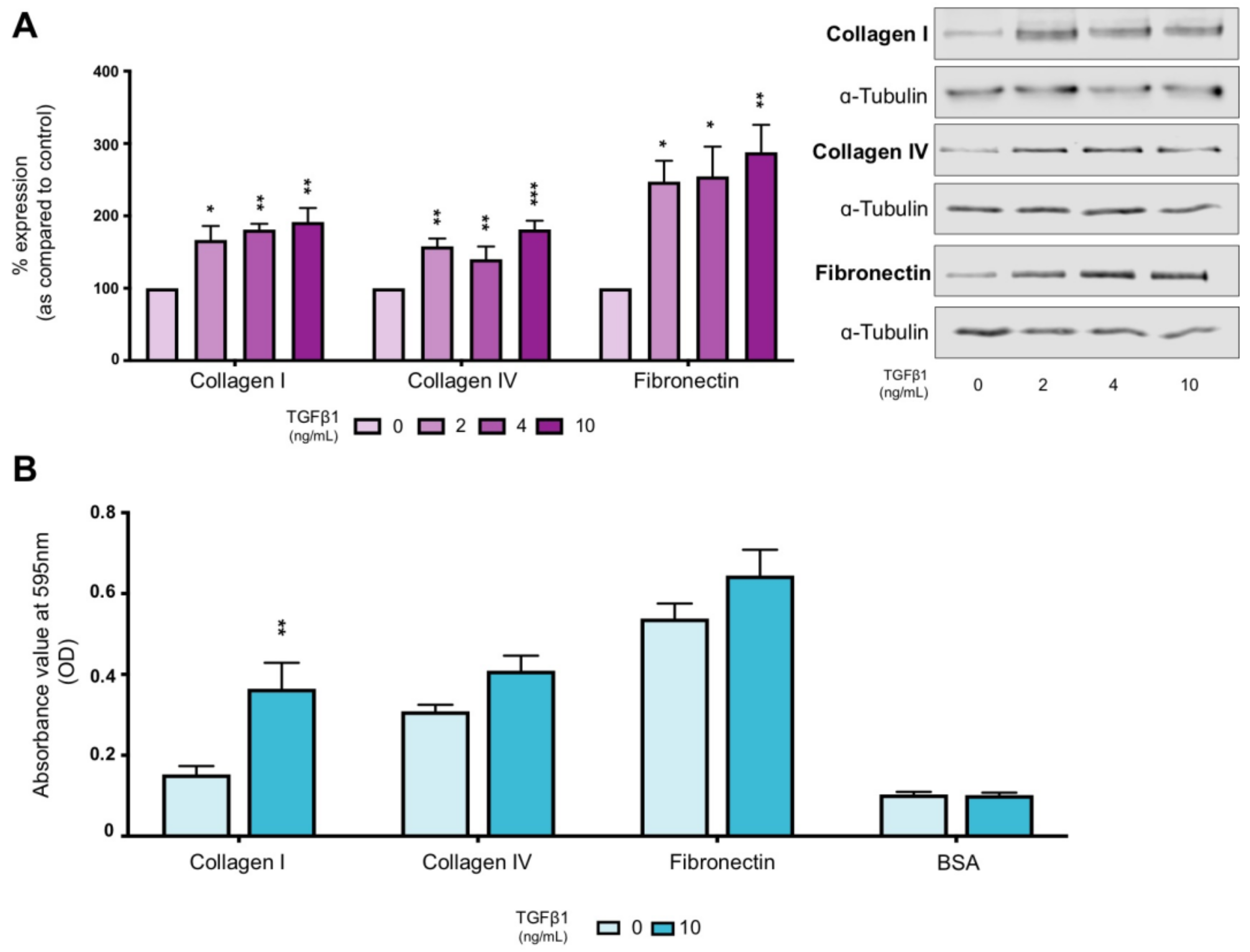 Ijms 22 03644 g001 Ijms 22 03644 g001