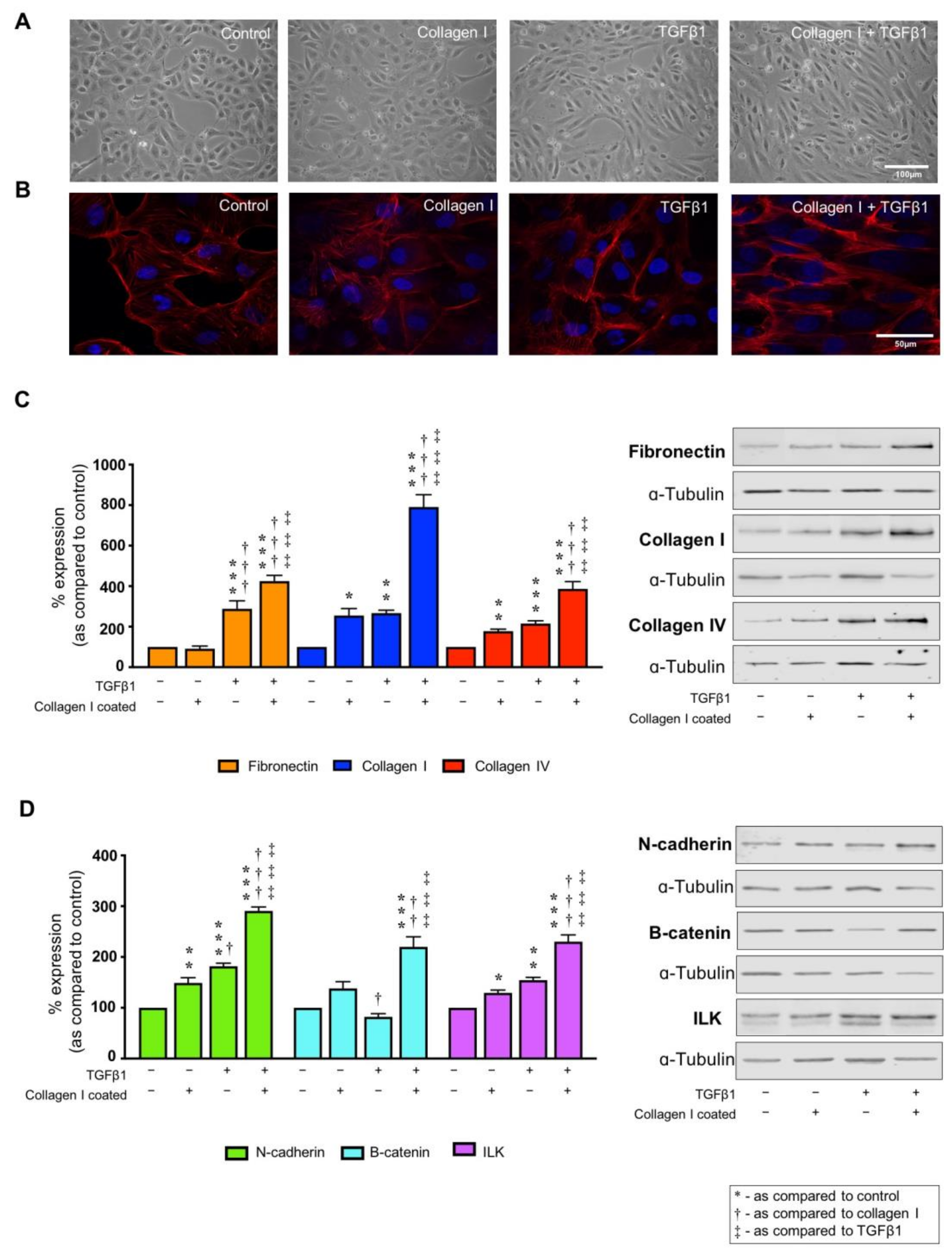 Ijms 22 03644 g002 Ijms 22 03644 g002