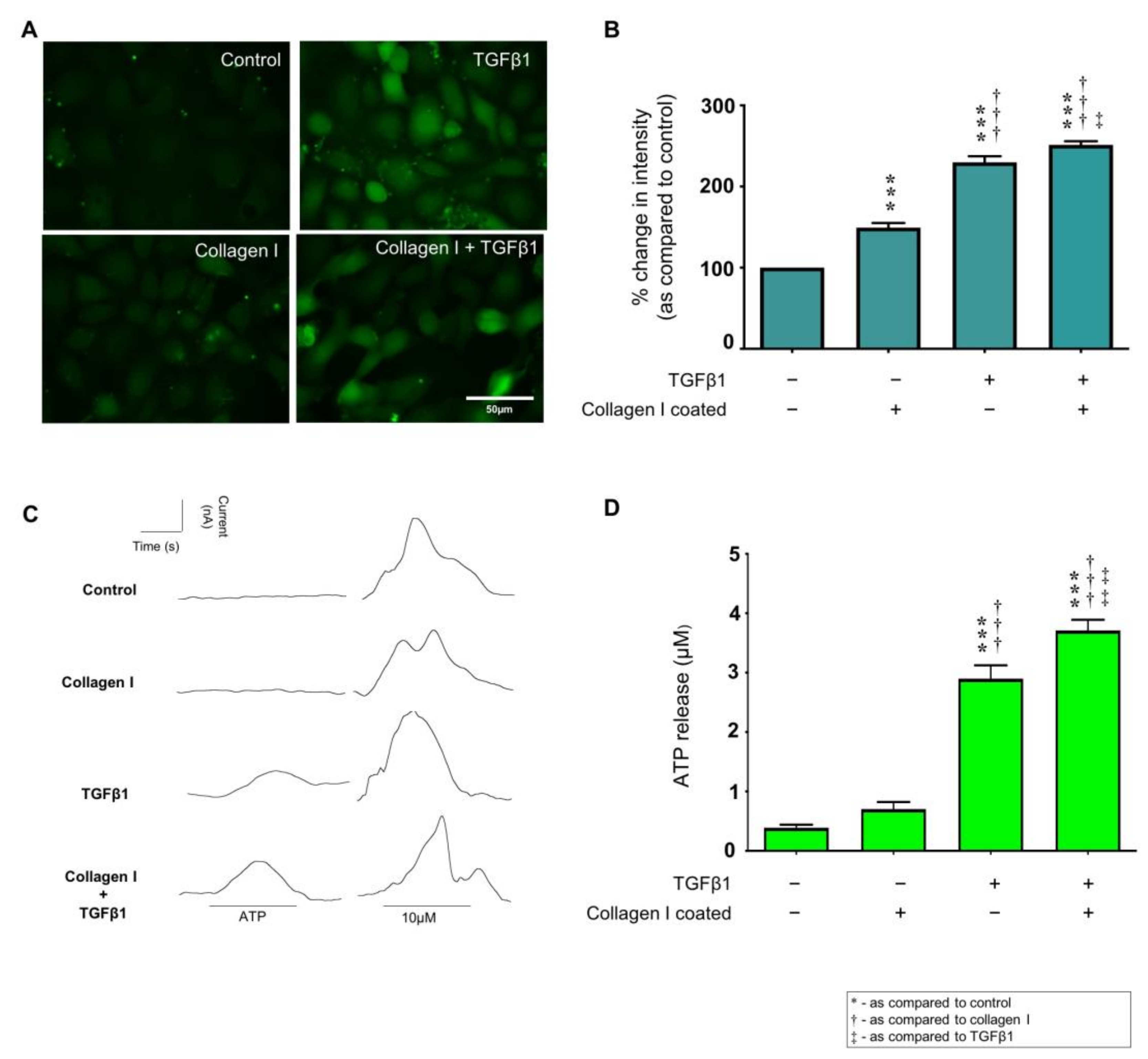 Ijms 22 03644 g003 Ijms 22 03644 g003