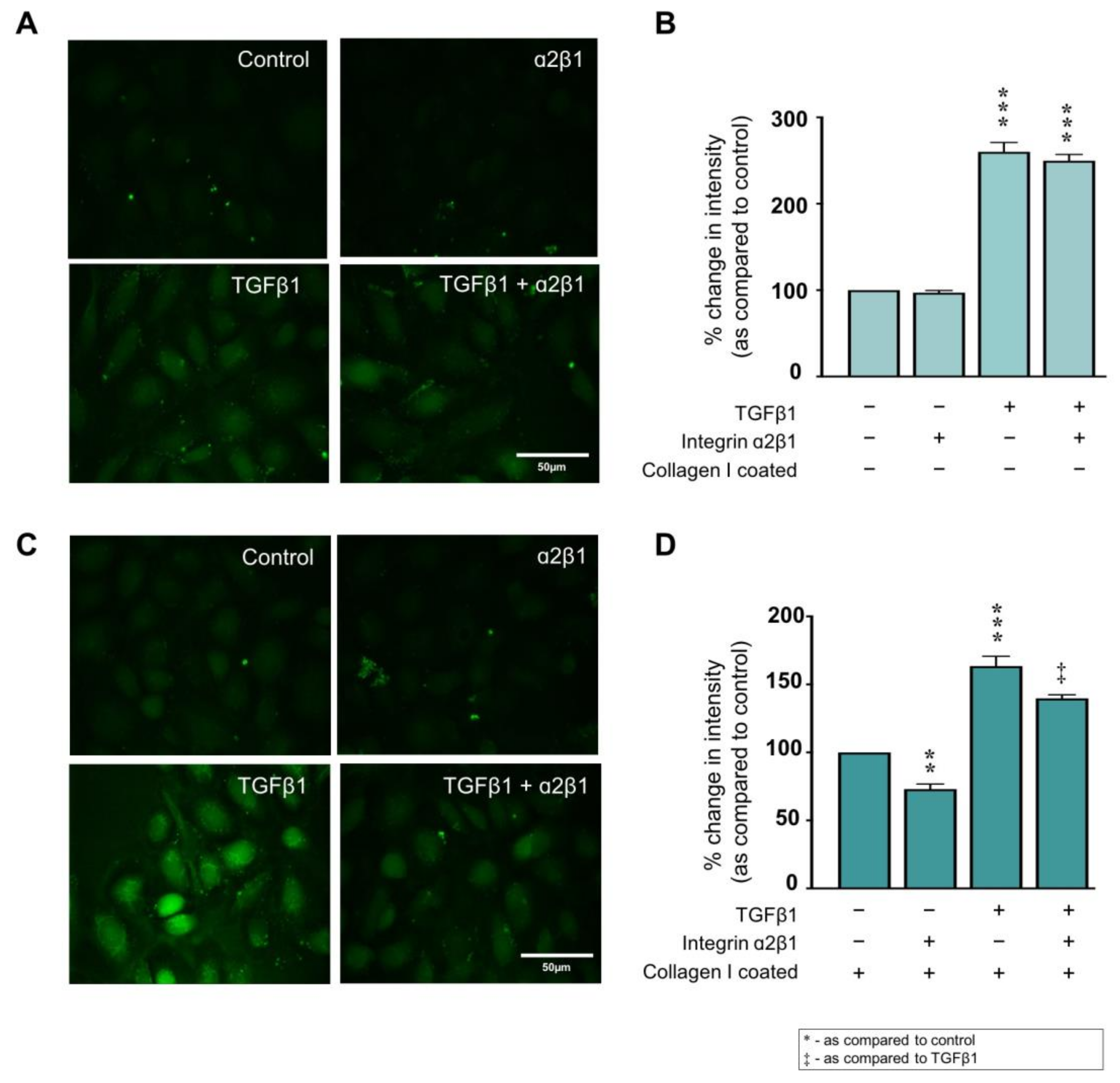 Ijms 22 03644 g004 Ijms 22 03644 g004