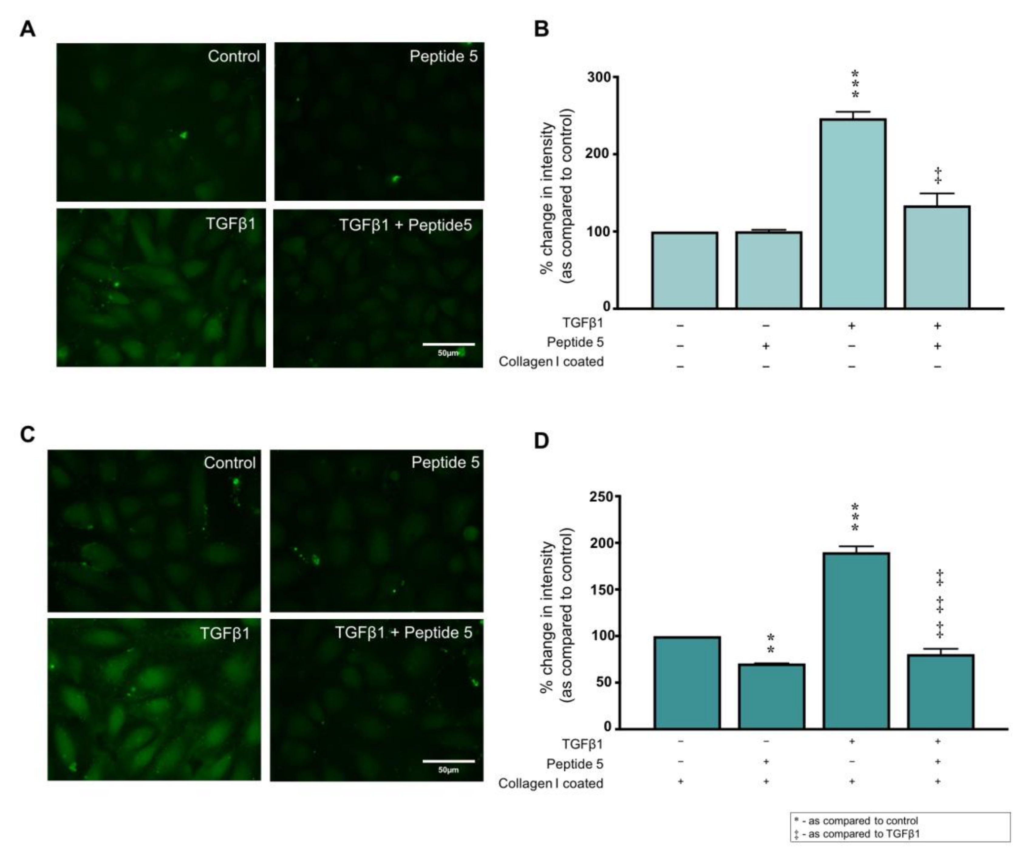 Ijms 22 03644 g006 Ijms 22 03644 g006