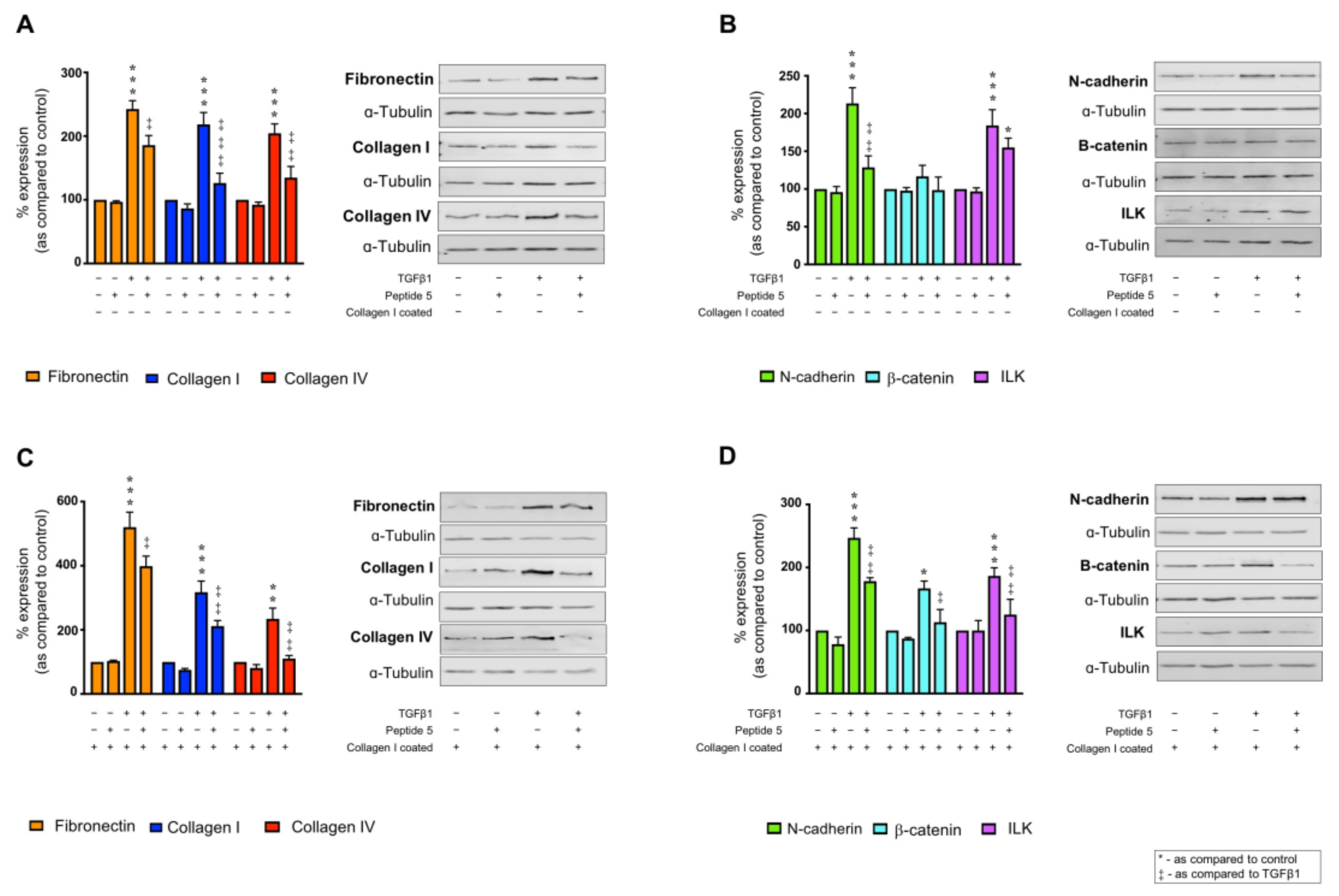 Ijms 22 03644 g007 Ijms 22 03644 g007