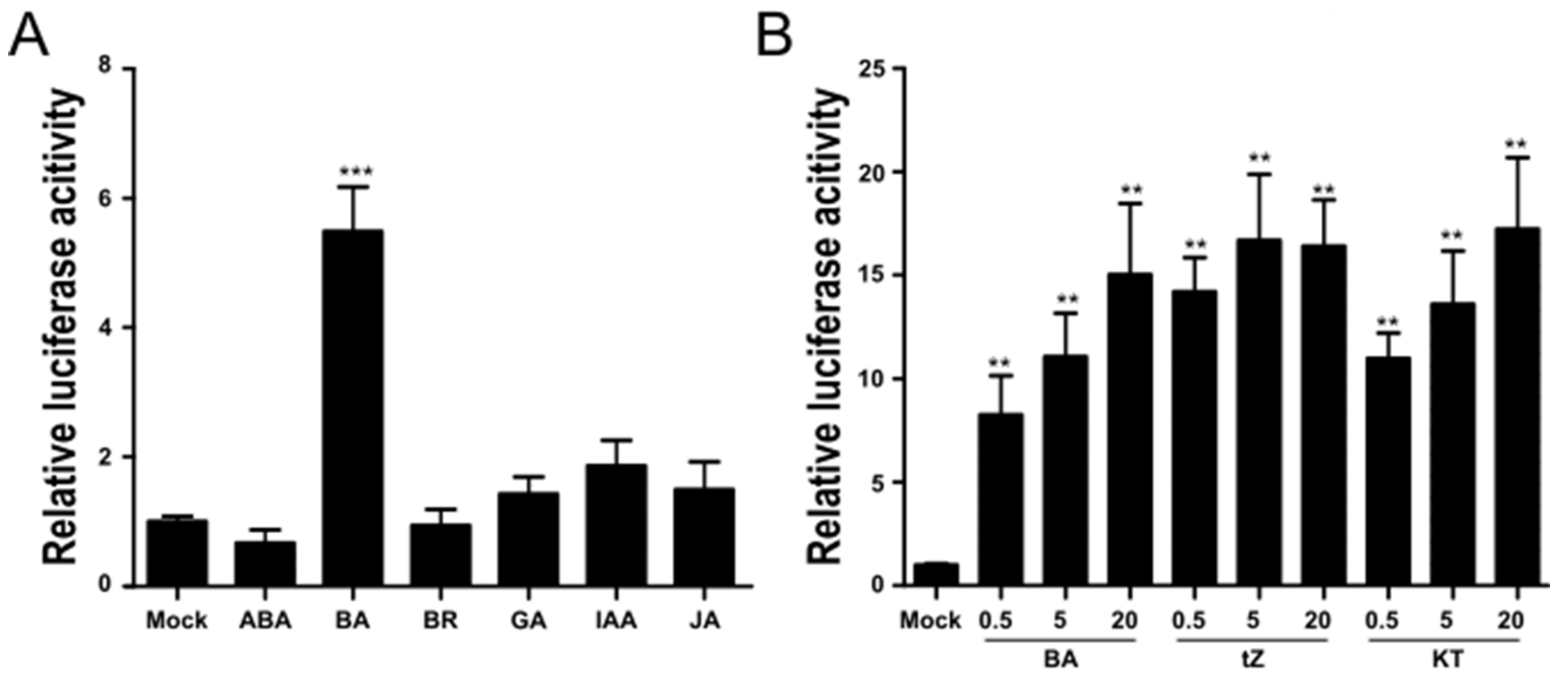 Ijms 22 03647 g001 Ijms 22 03647 g001