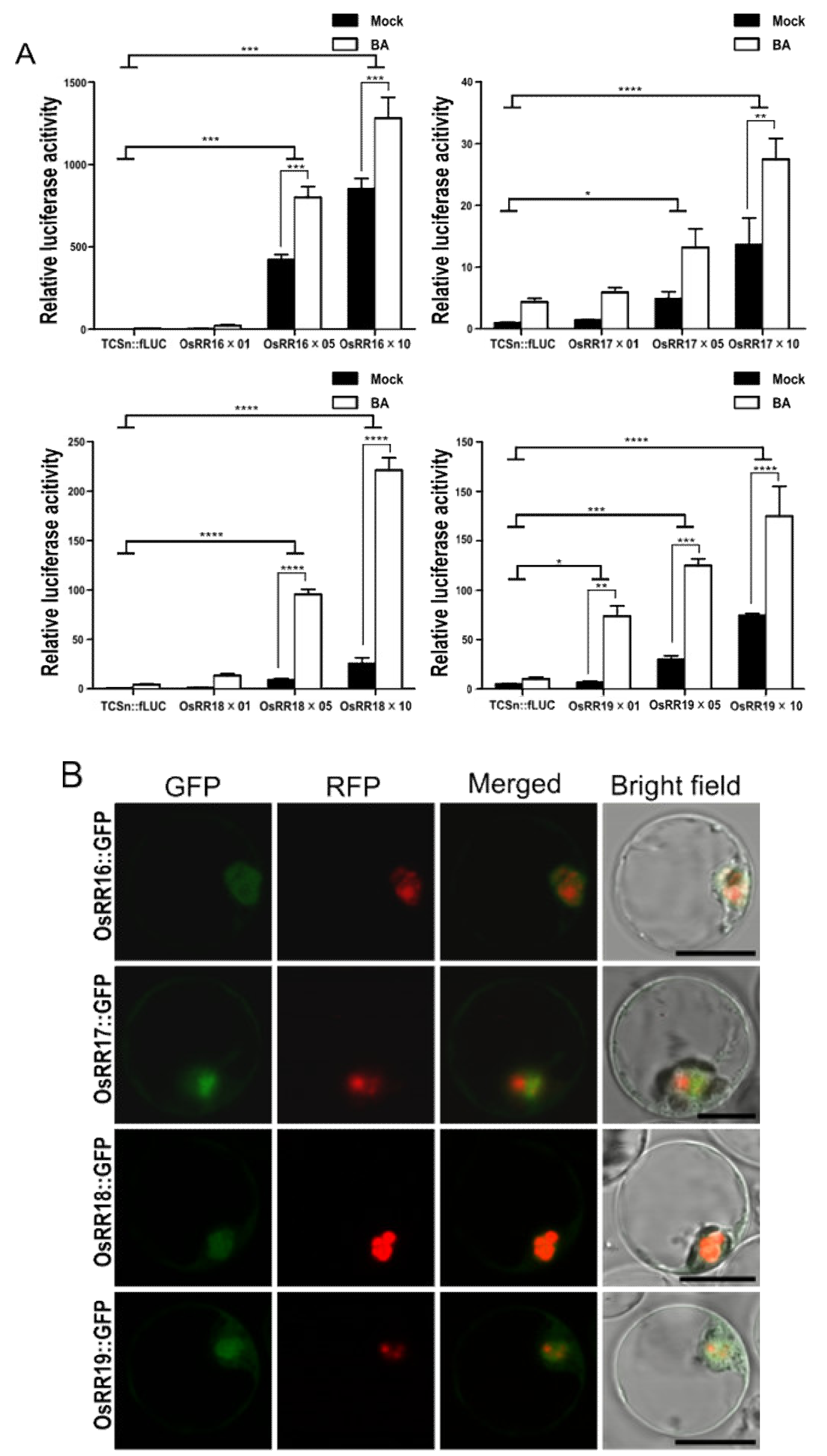 Ijms 22 03647 g002 Ijms 22 03647 g002