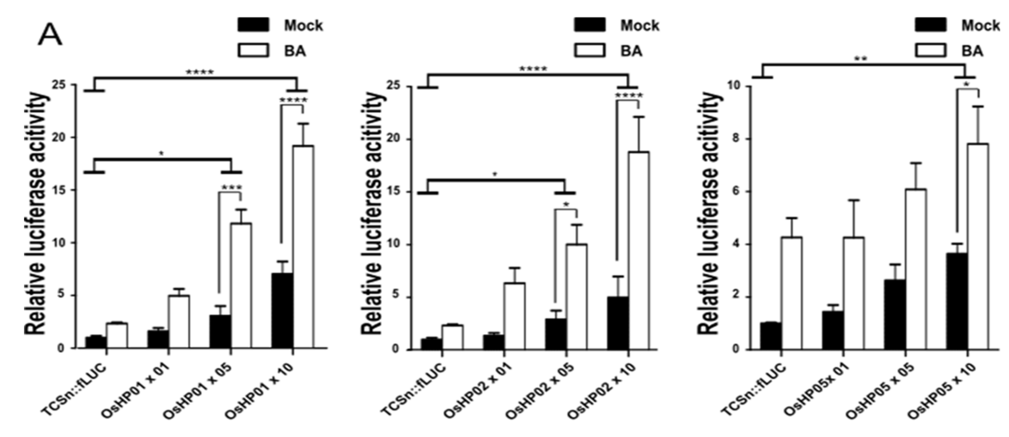 Ijms 22 03647 g003a Ijms 22 03647 g003a