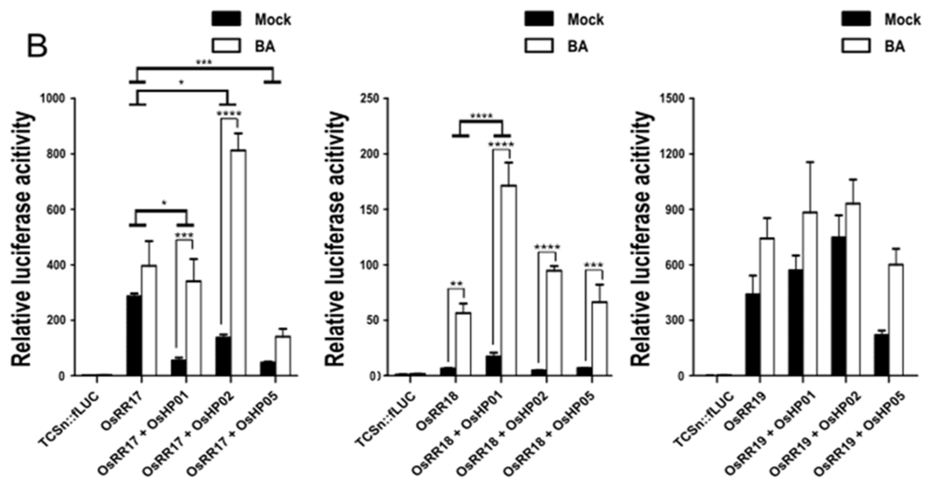 Ijms 22 03647 g003b Ijms 22 03647 g003b