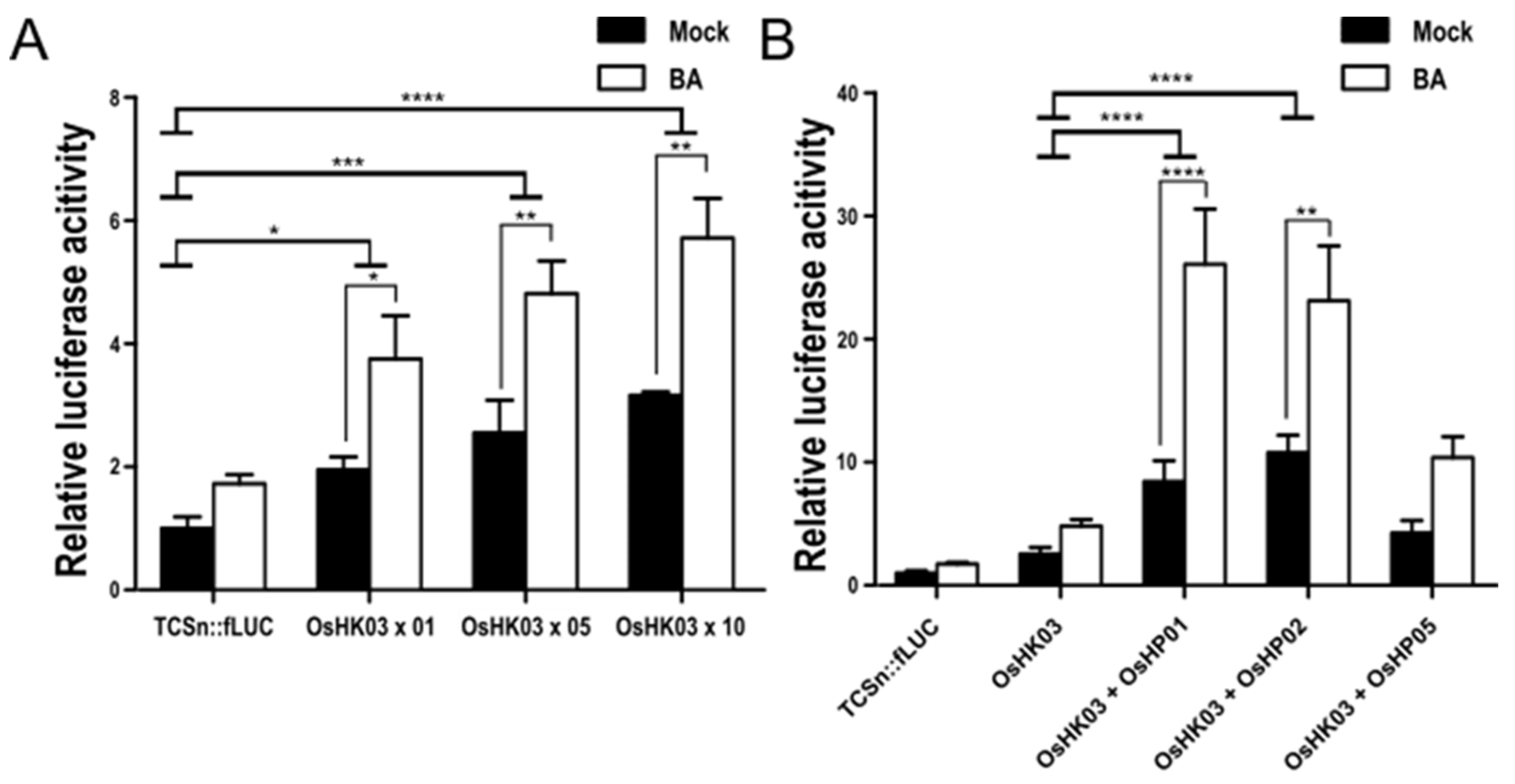 Ijms 22 03647 g004 Ijms 22 03647 g004