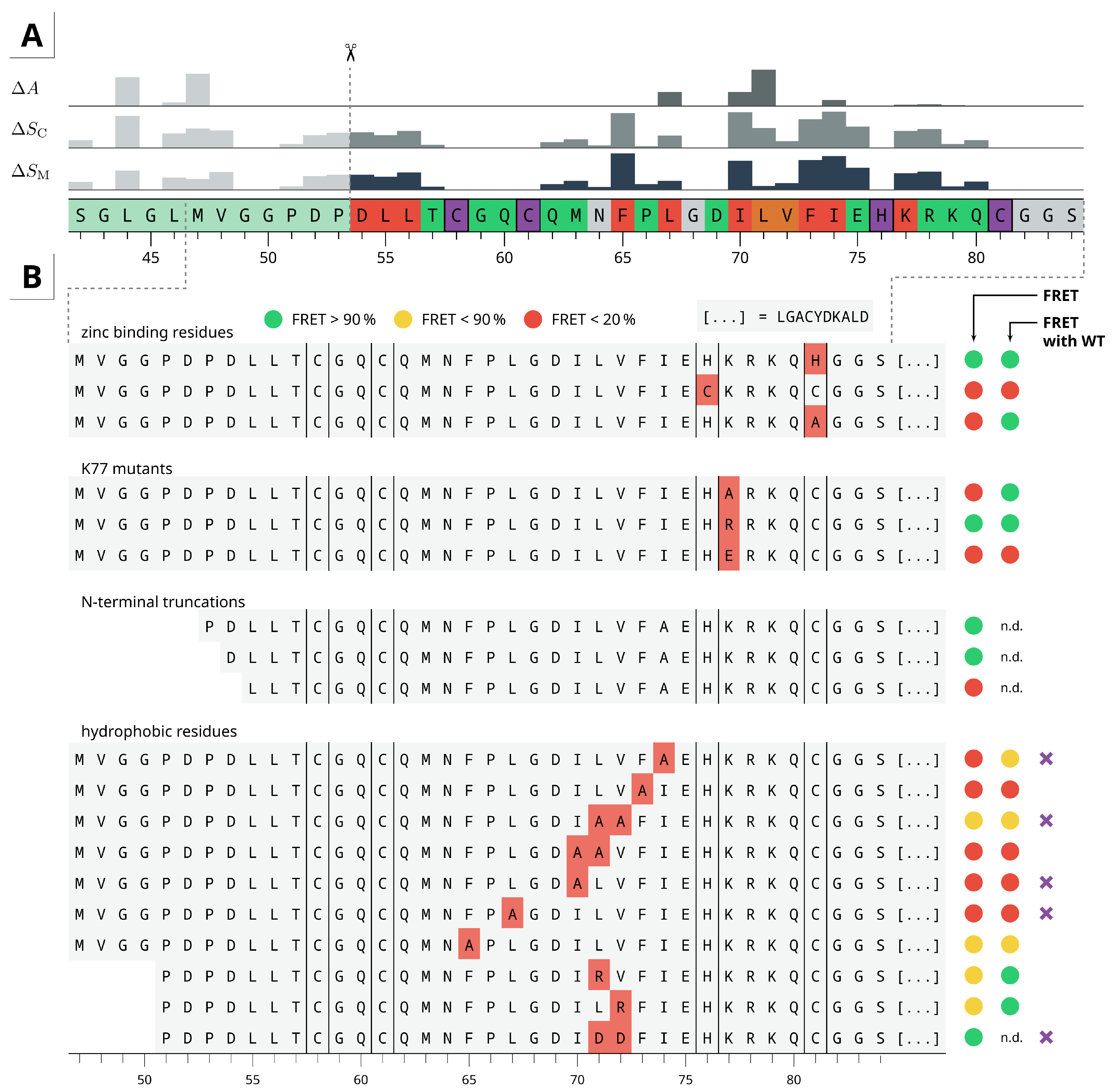 Ijms Free Full Text Unveiling The N Terminal Homodimerization Of l11b By Hybrid Solvent Replica Exchange Simulations Html