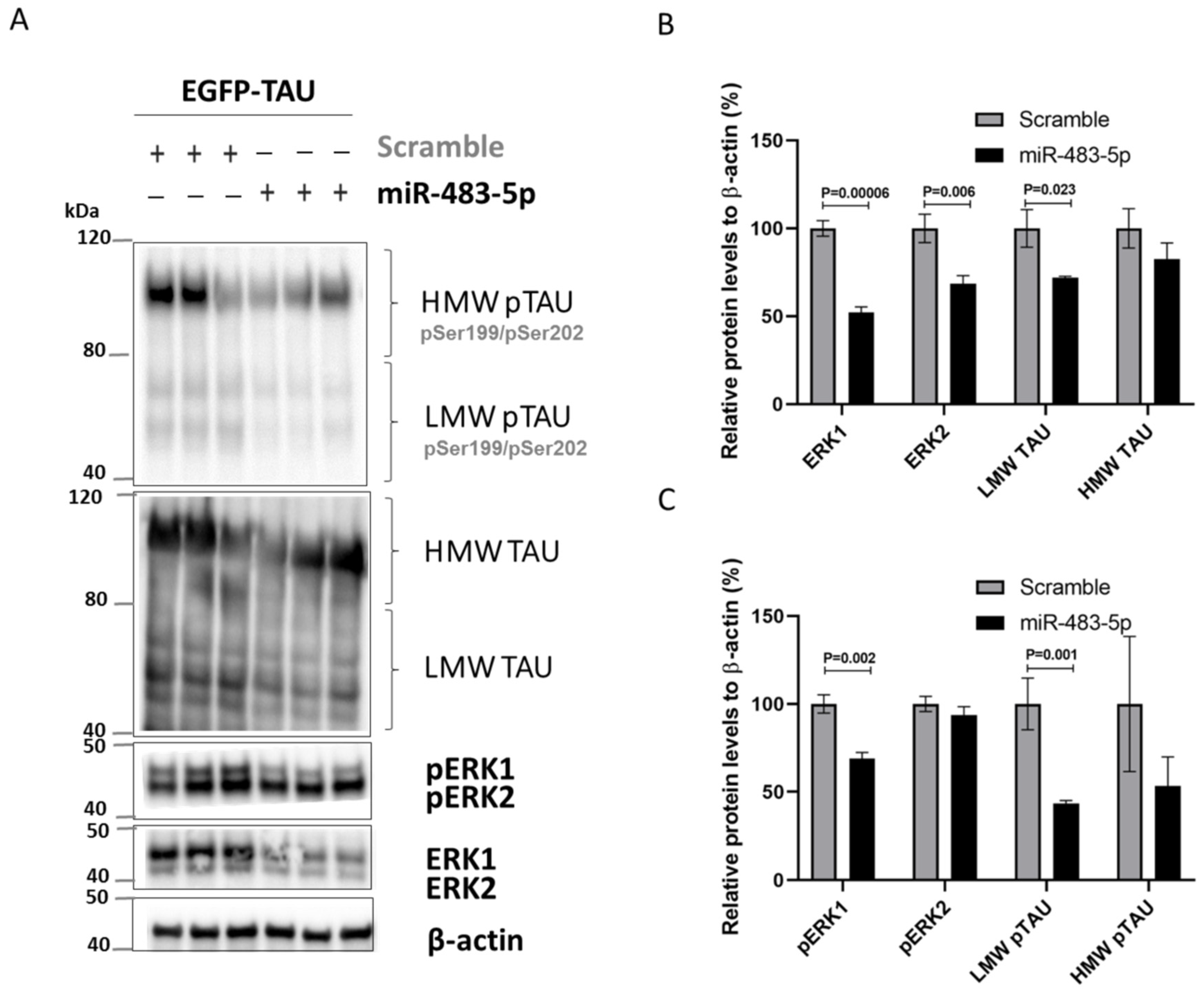 Ijms 22 03653 g005 Ijms 22 03653 g005