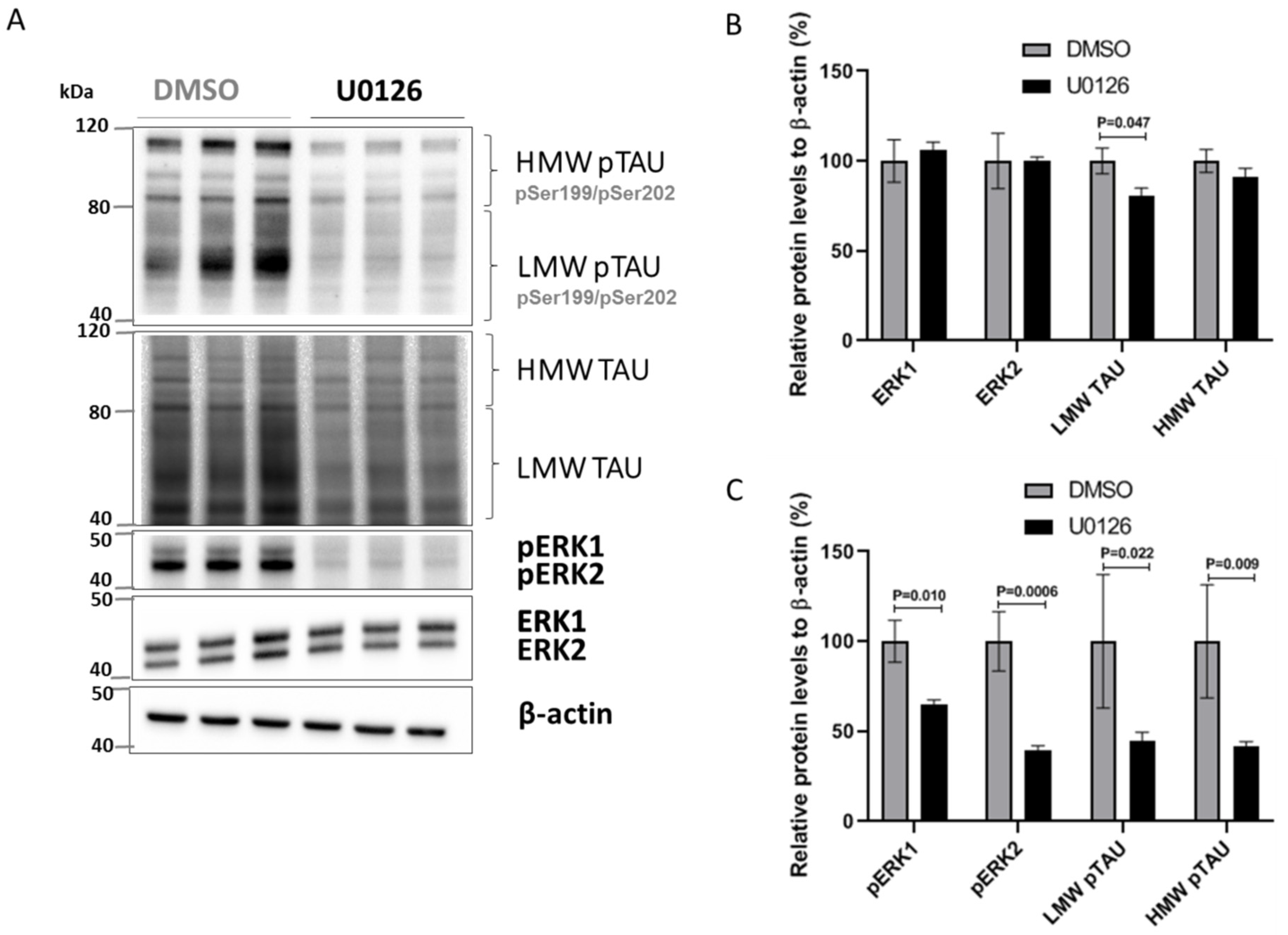 Ijms 22 03653 g006 Ijms 22 03653 g006
