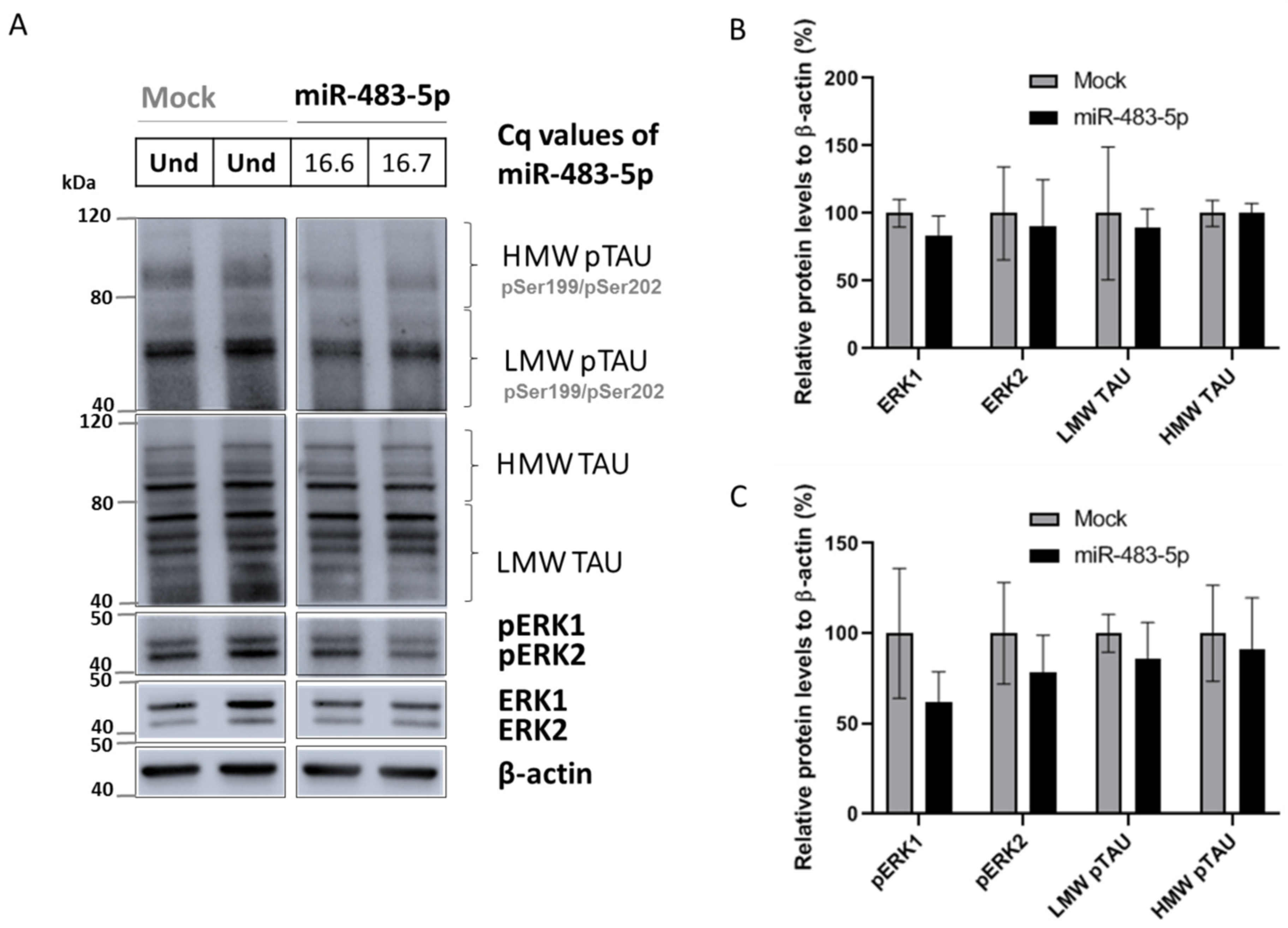 Ijms 22 03653 g007 Ijms 22 03653 g007