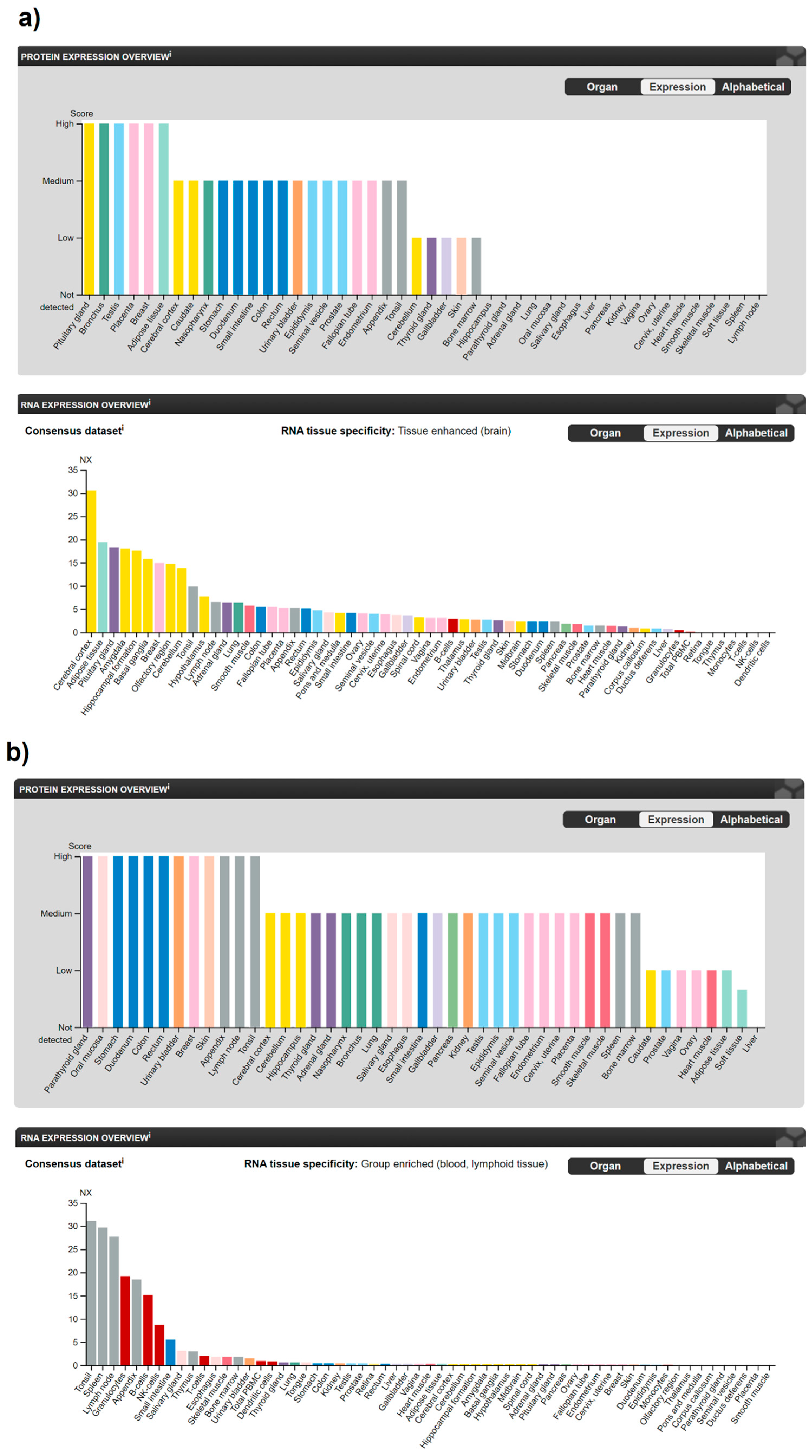 Ijms 22 03661 g002 Ijms 22 03661 g002