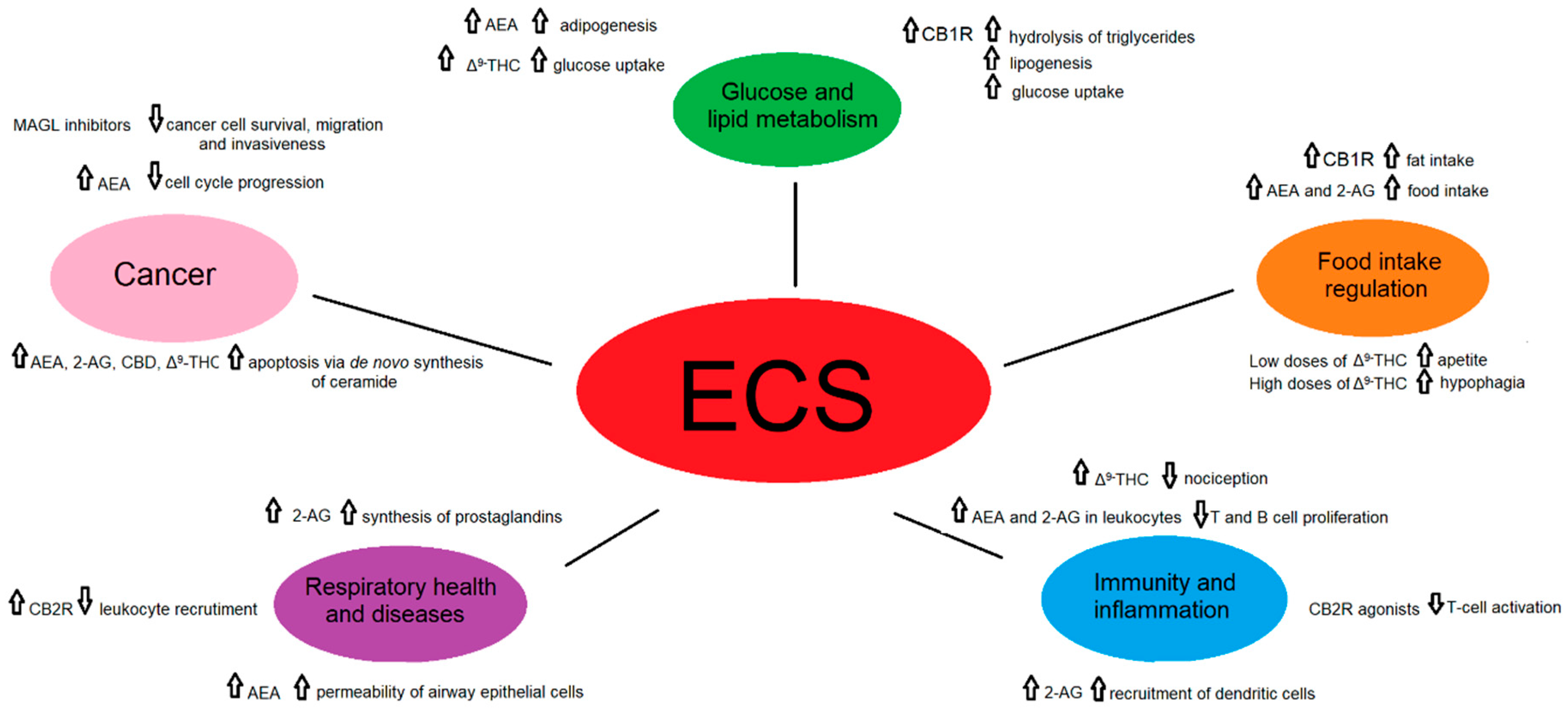 Ijms 22 03661 g003 Ijms 22 03661 g003