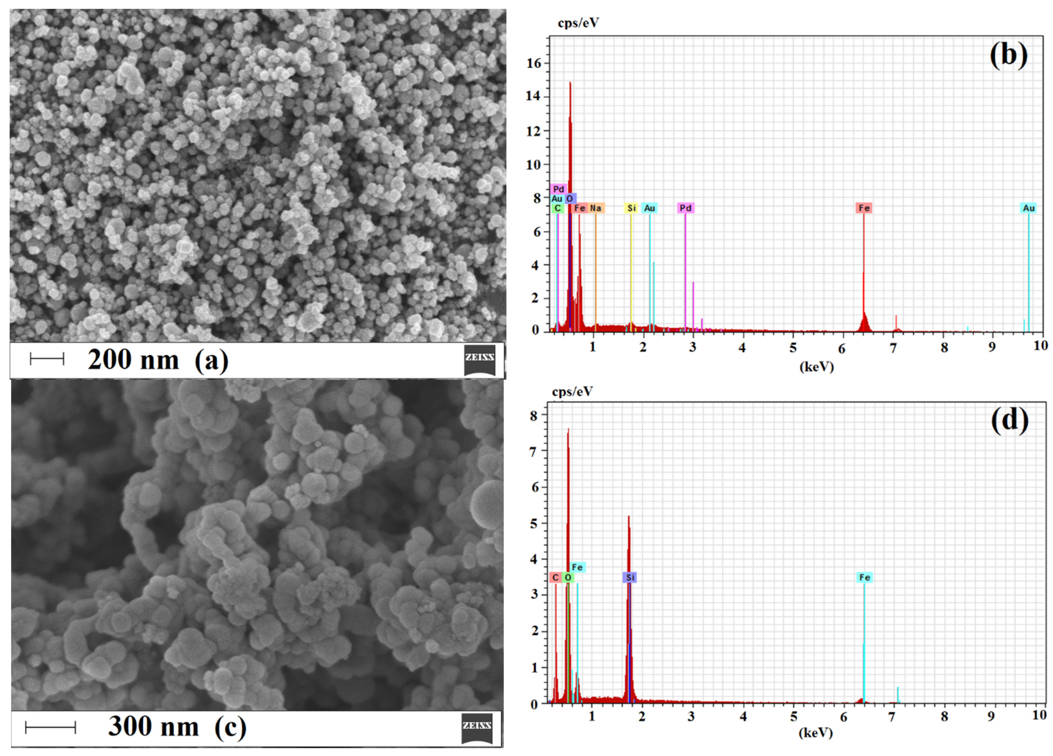 Ijms 22 03665 g005a Ijms 22 03665 g005a