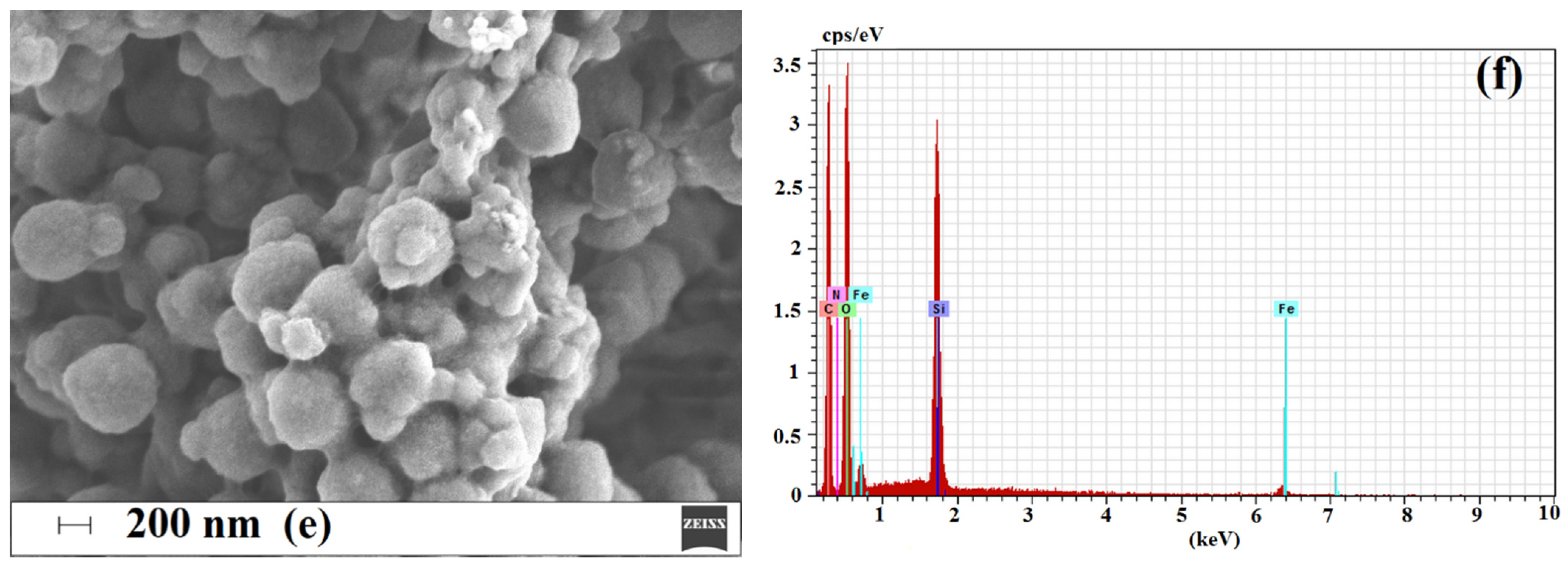 Ijms 22 03665 g005b Ijms 22 03665 g005b