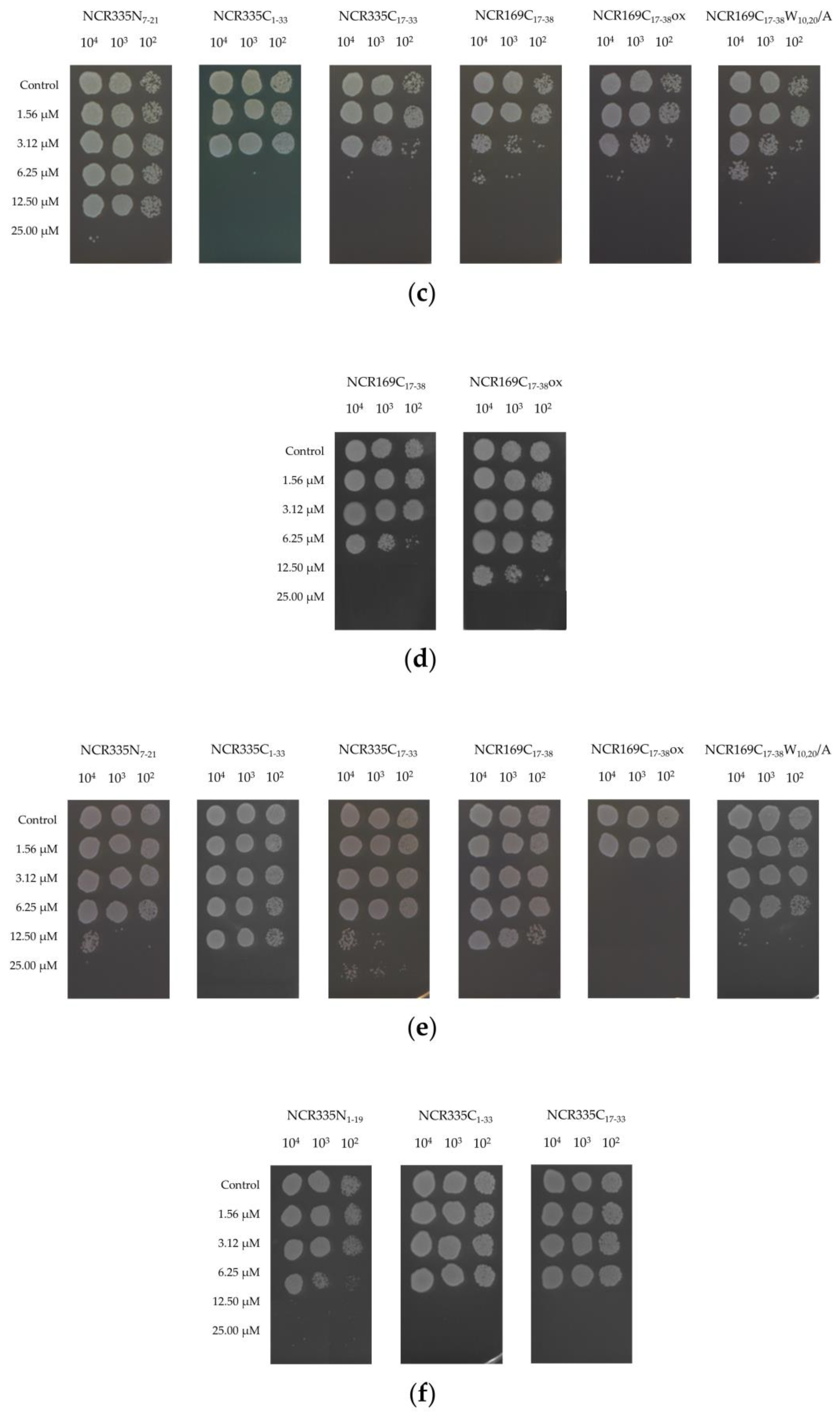 Ijms Free Full Text Symbiotic Ncr Peptide Fragments Affect The Viability Morphology And Biofilm Formation Of Candida Species Html