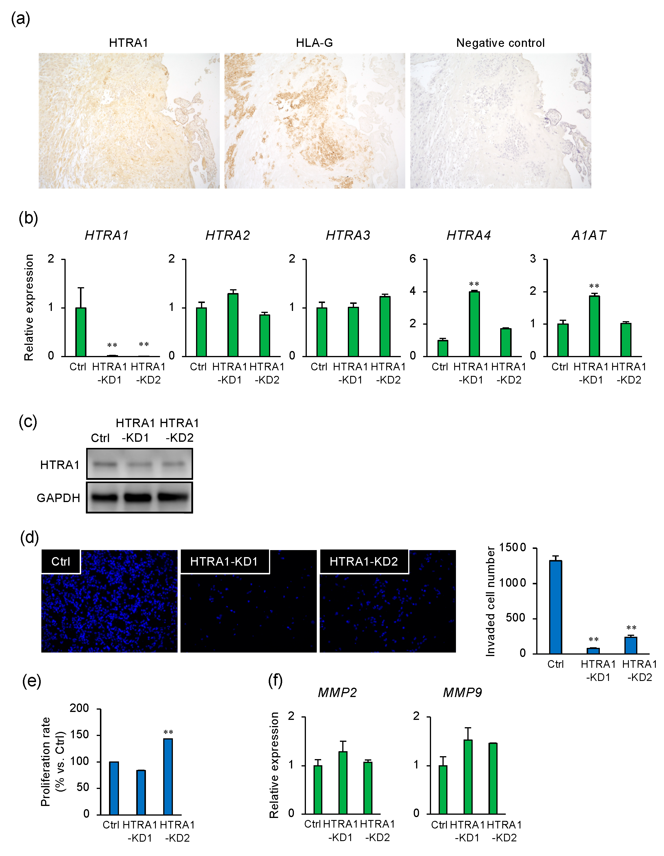 Ijms 22 03683 g002 Ijms 22 03683 g002