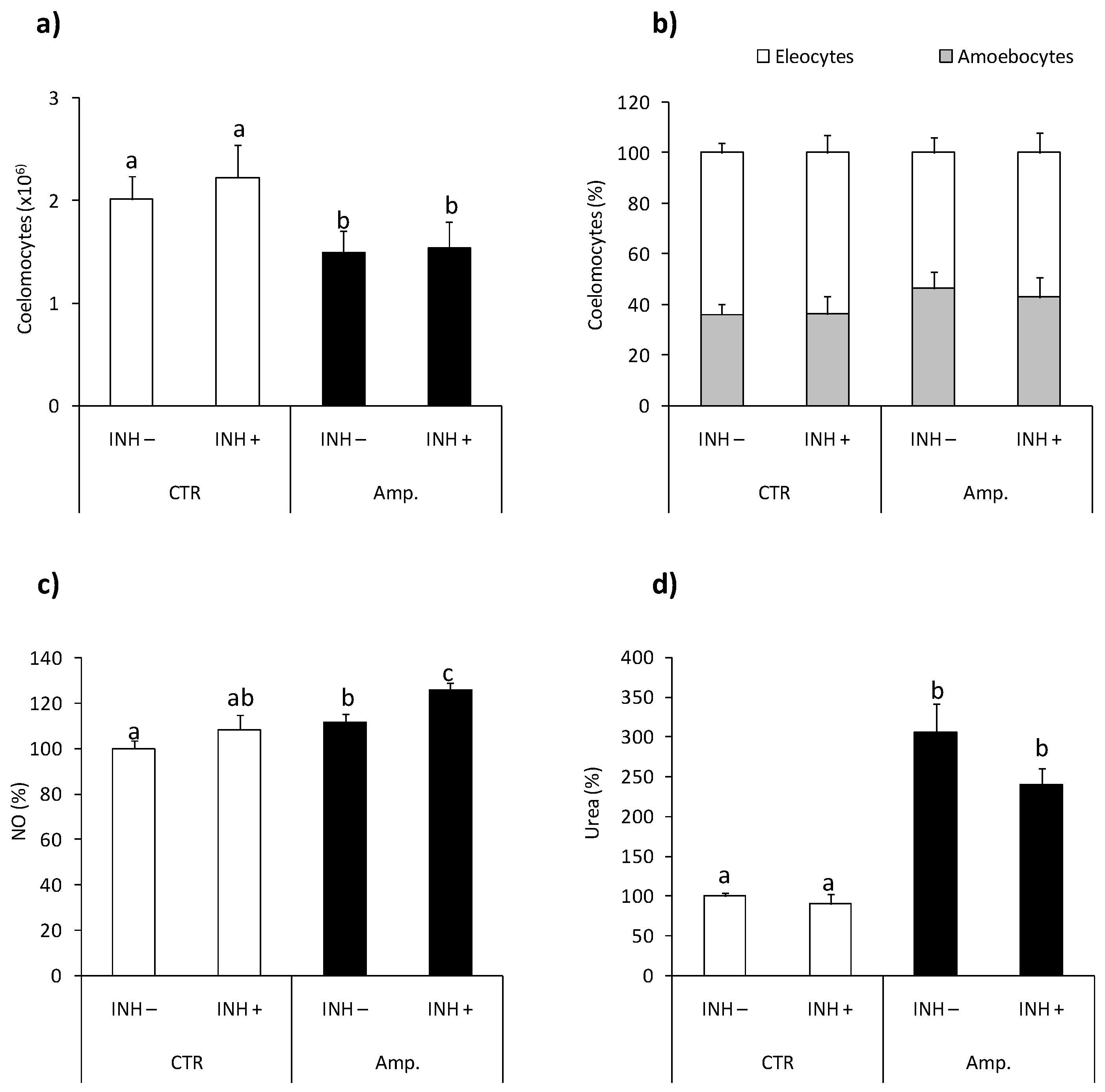 Ijms 22 03687 g006 Ijms 22 03687 g006
