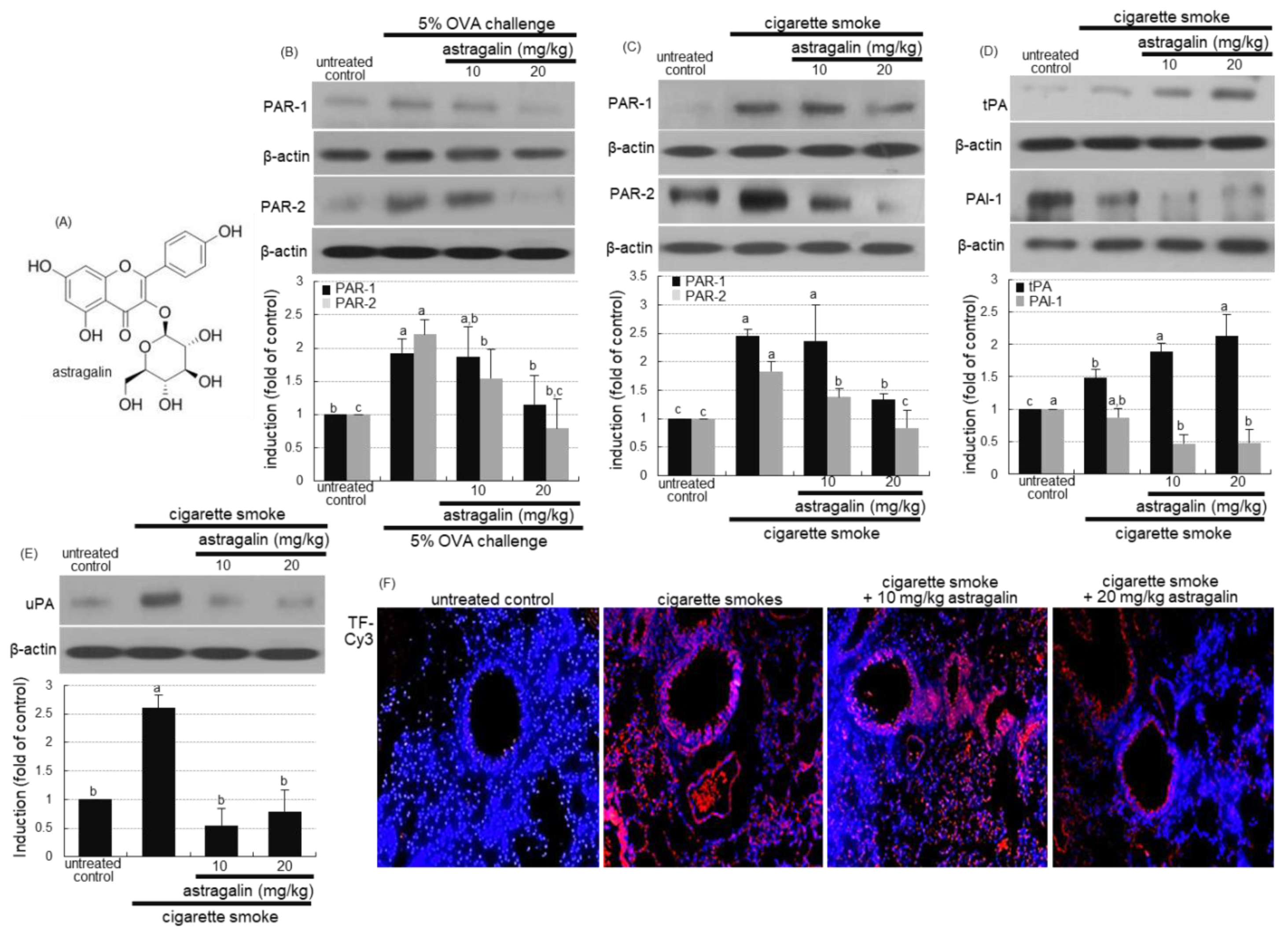 Ijms 22 03692 g001 Ijms 22 03692 g001
