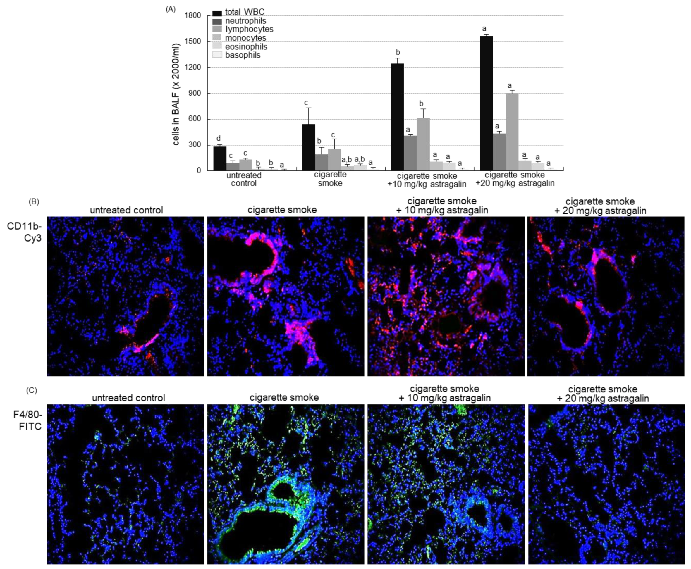 Ijms 22 03692 g003 Ijms 22 03692 g003