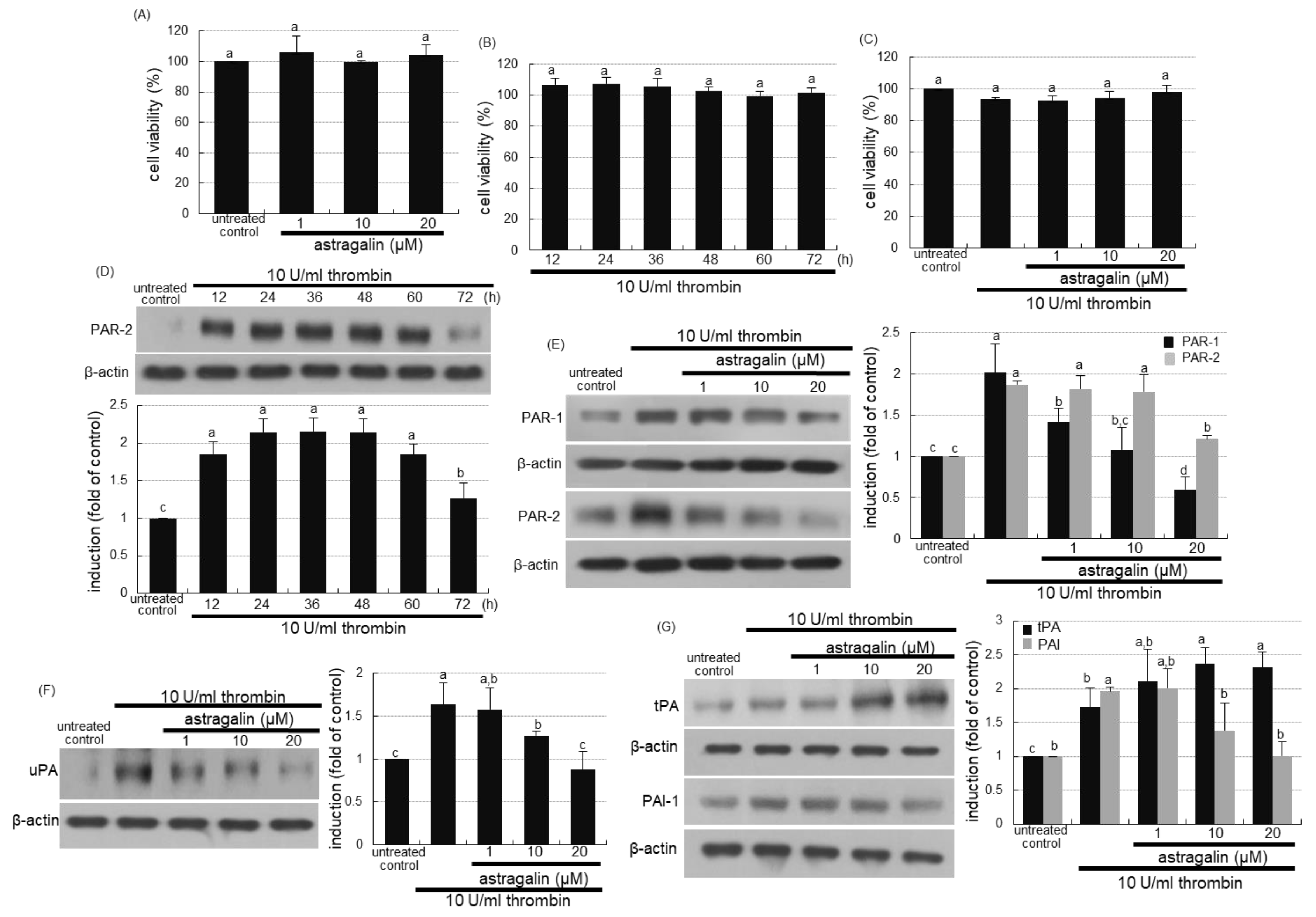 Ijms 22 03692 g004 Ijms 22 03692 g004
