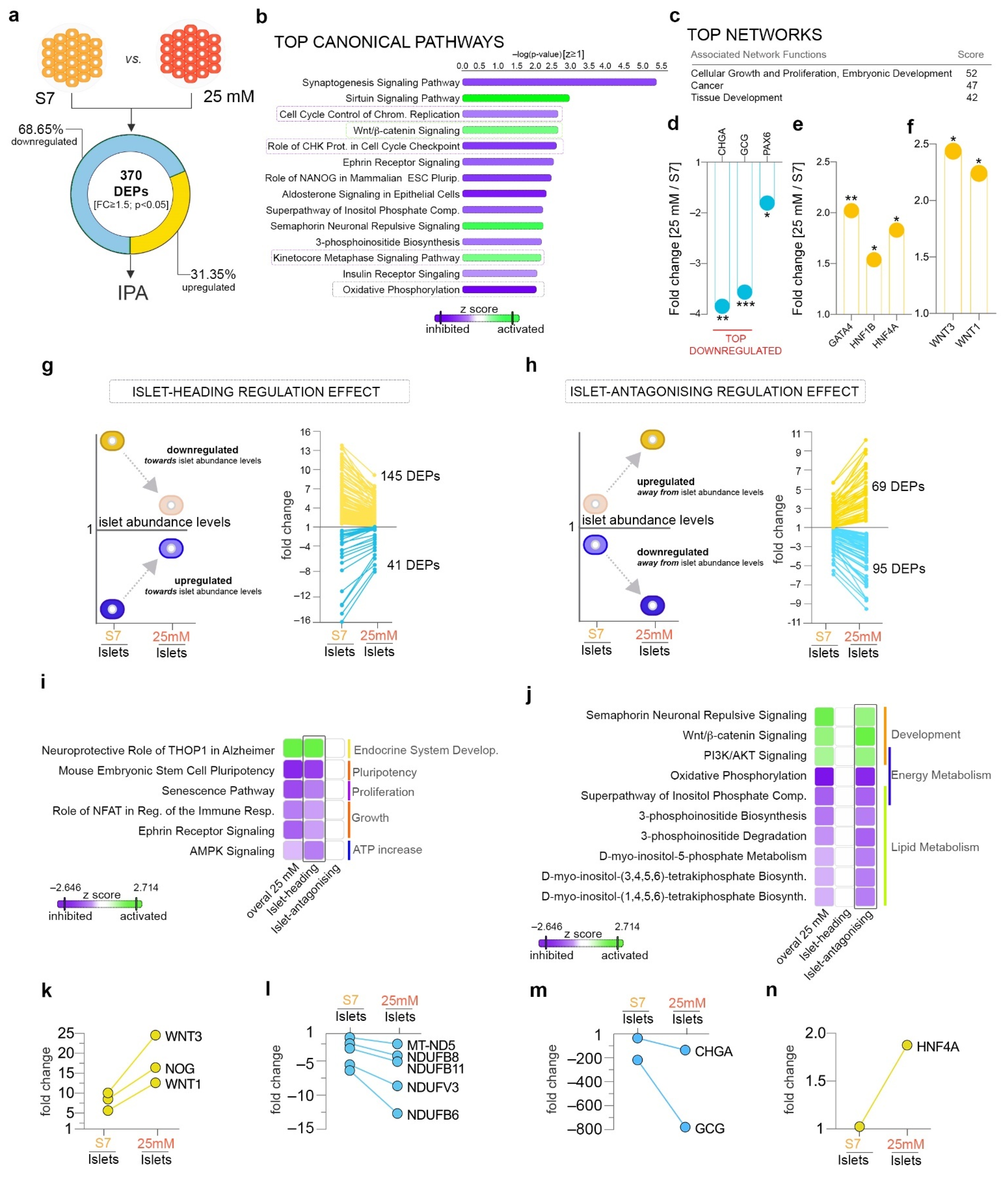 Ijms 22 03698 g002 Ijms 22 03698 g002