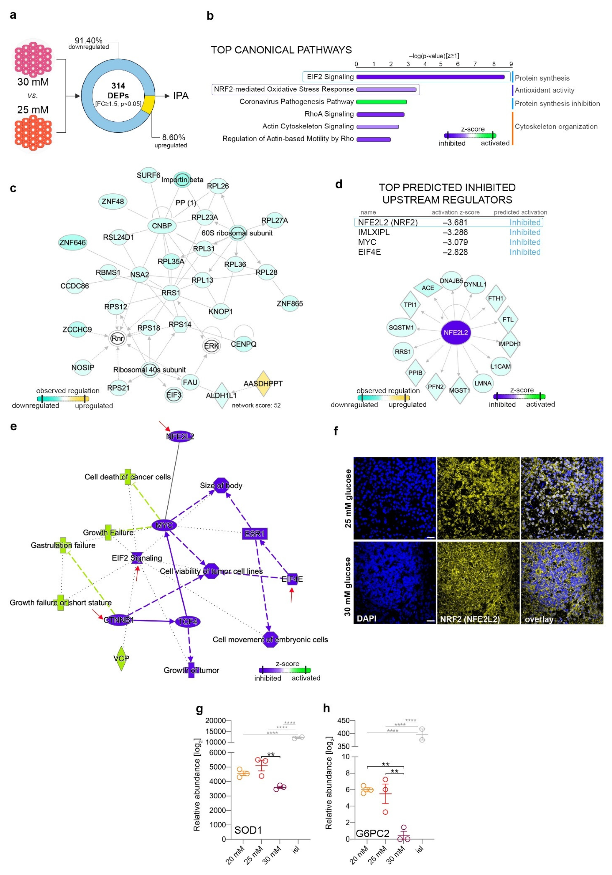 Ijms 22 03698 g004 Ijms 22 03698 g004
