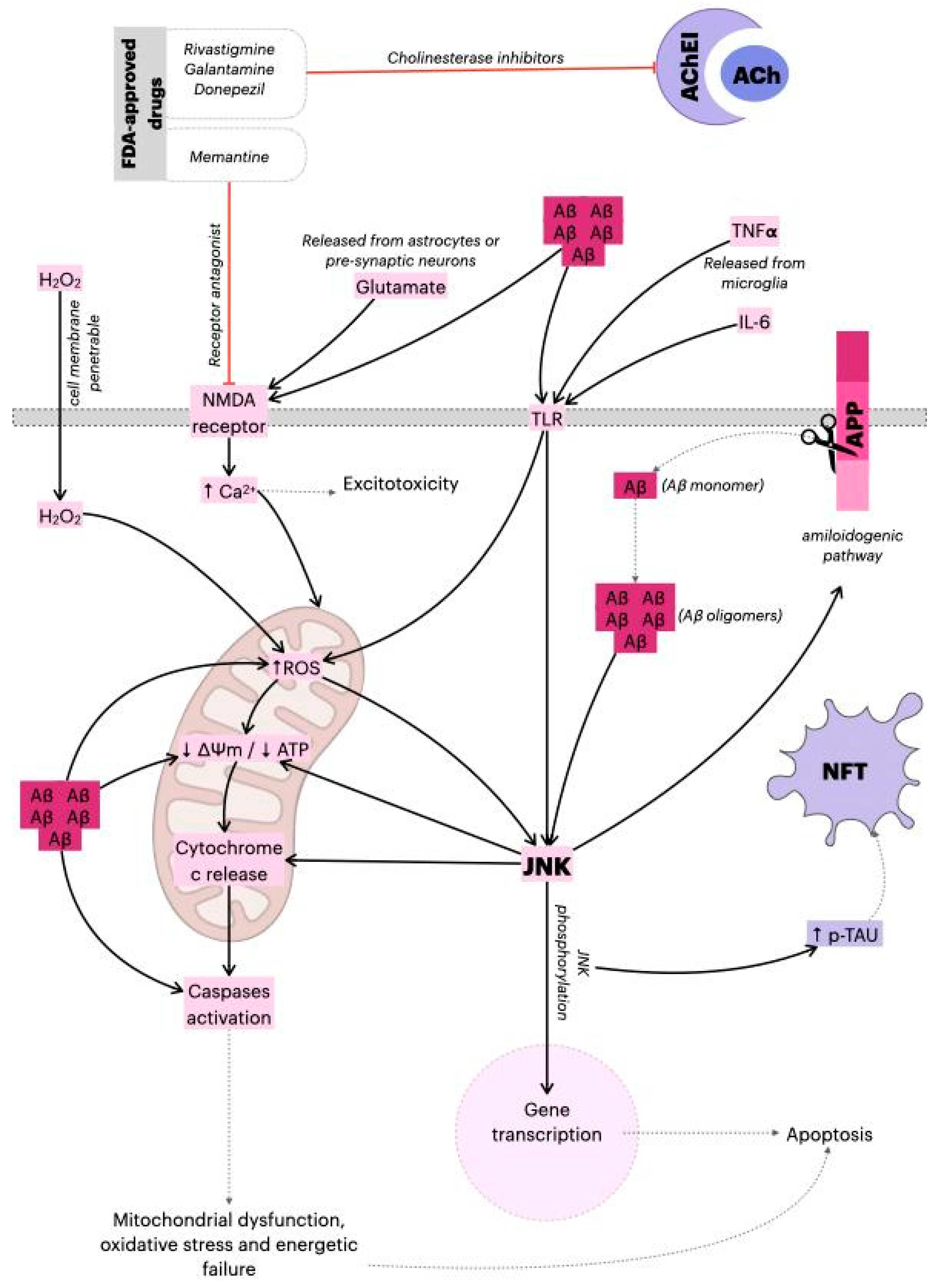 Ijms 22 03701 g001 Ijms 22 03701 g001