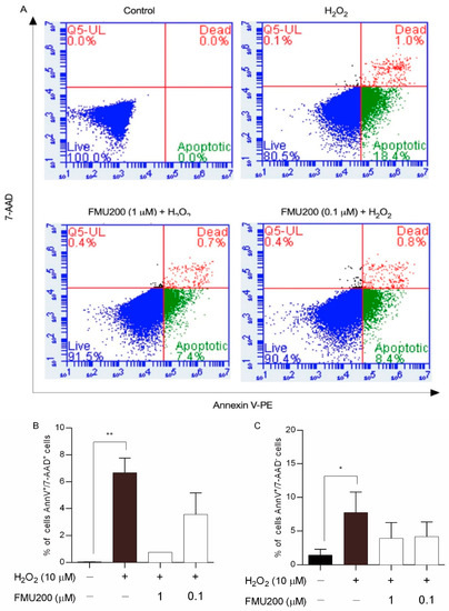 jnk 様 Structural Basis and Biological Consequences for JNK2/3