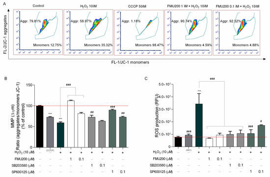 jnk 様 Identification of the Critical Features of a Small Peptide