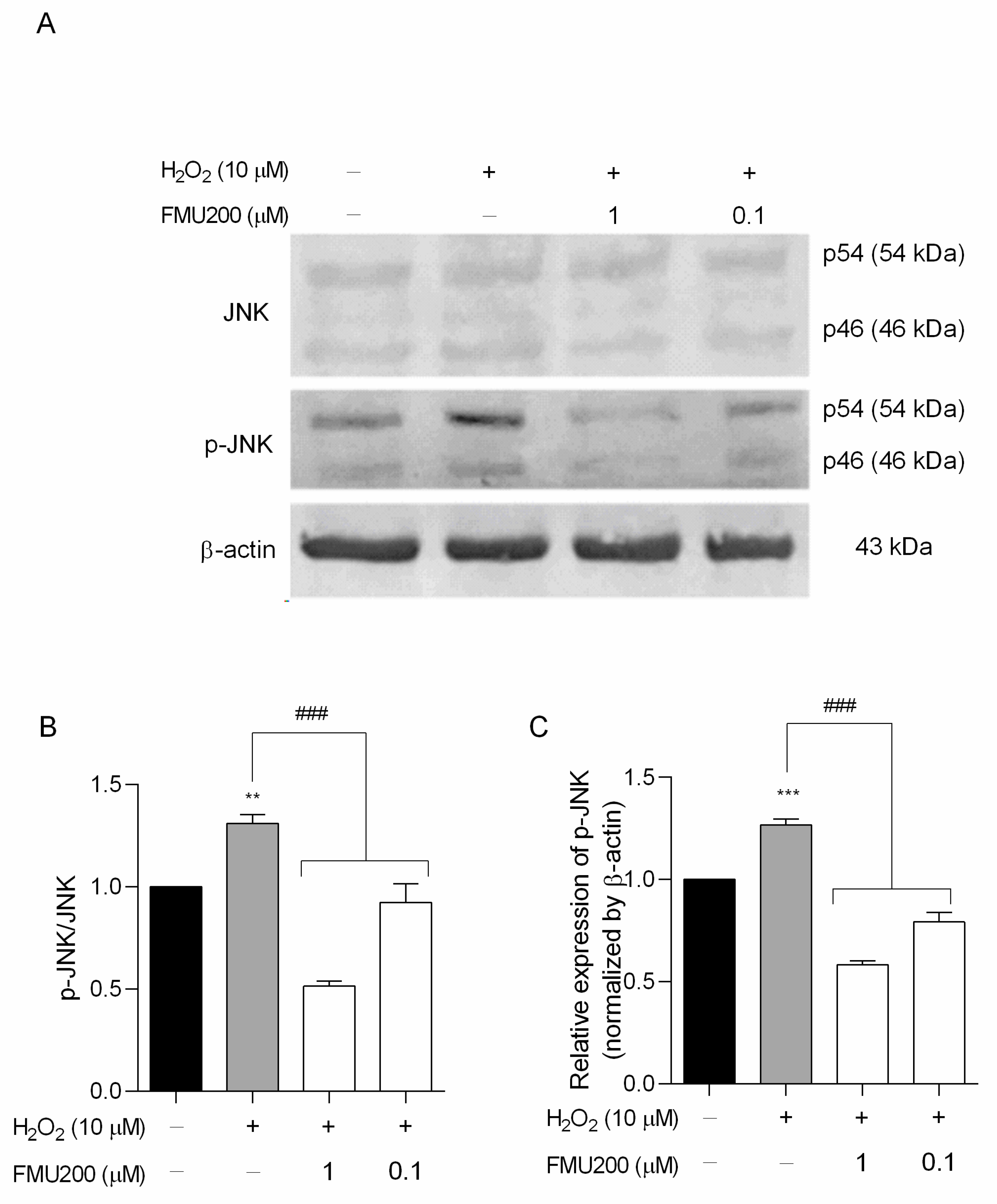 Ijms 22 03701 g005 Ijms 22 03701 g005