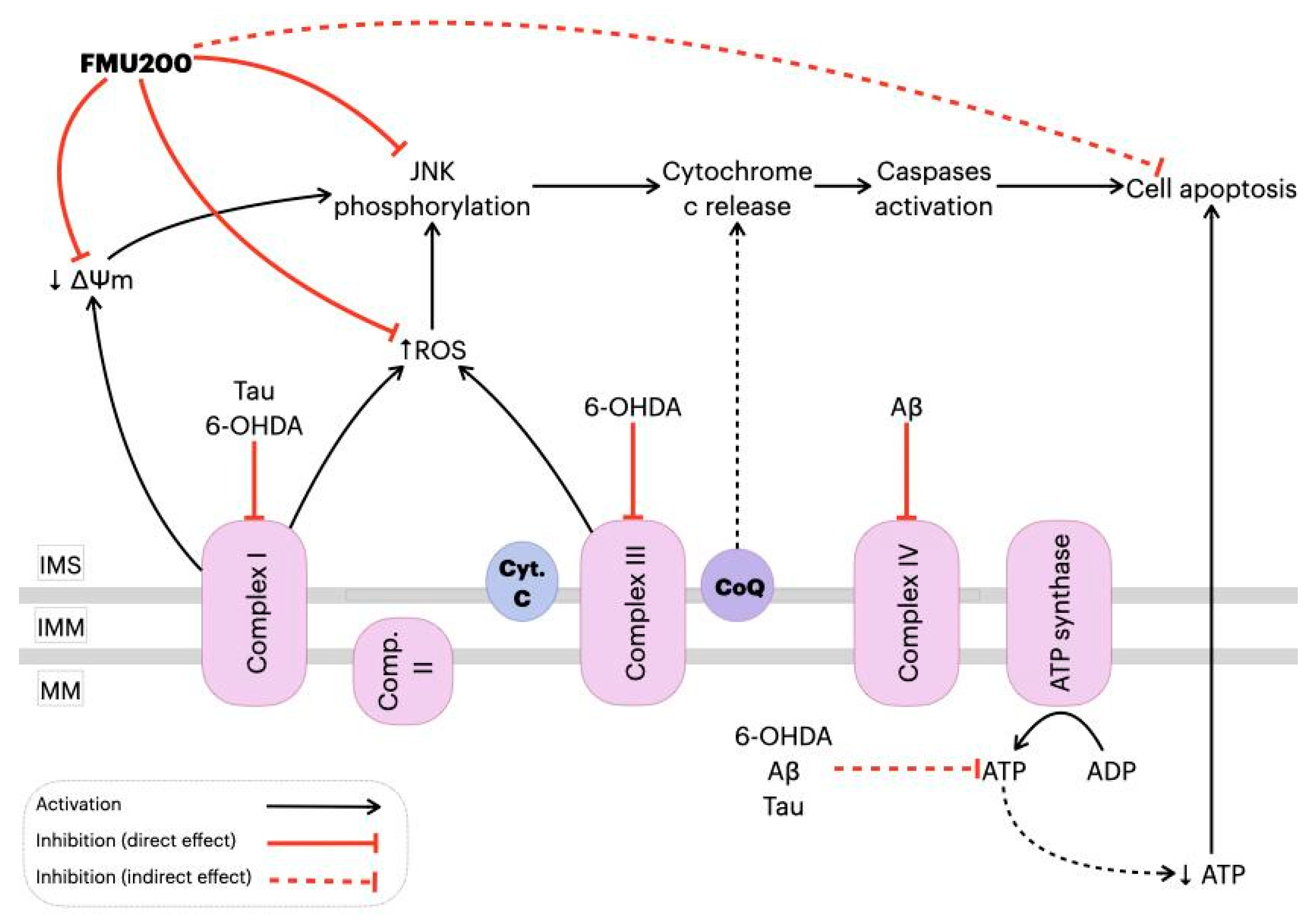Ijms 22 03701 g007 Ijms 22 03701 g007