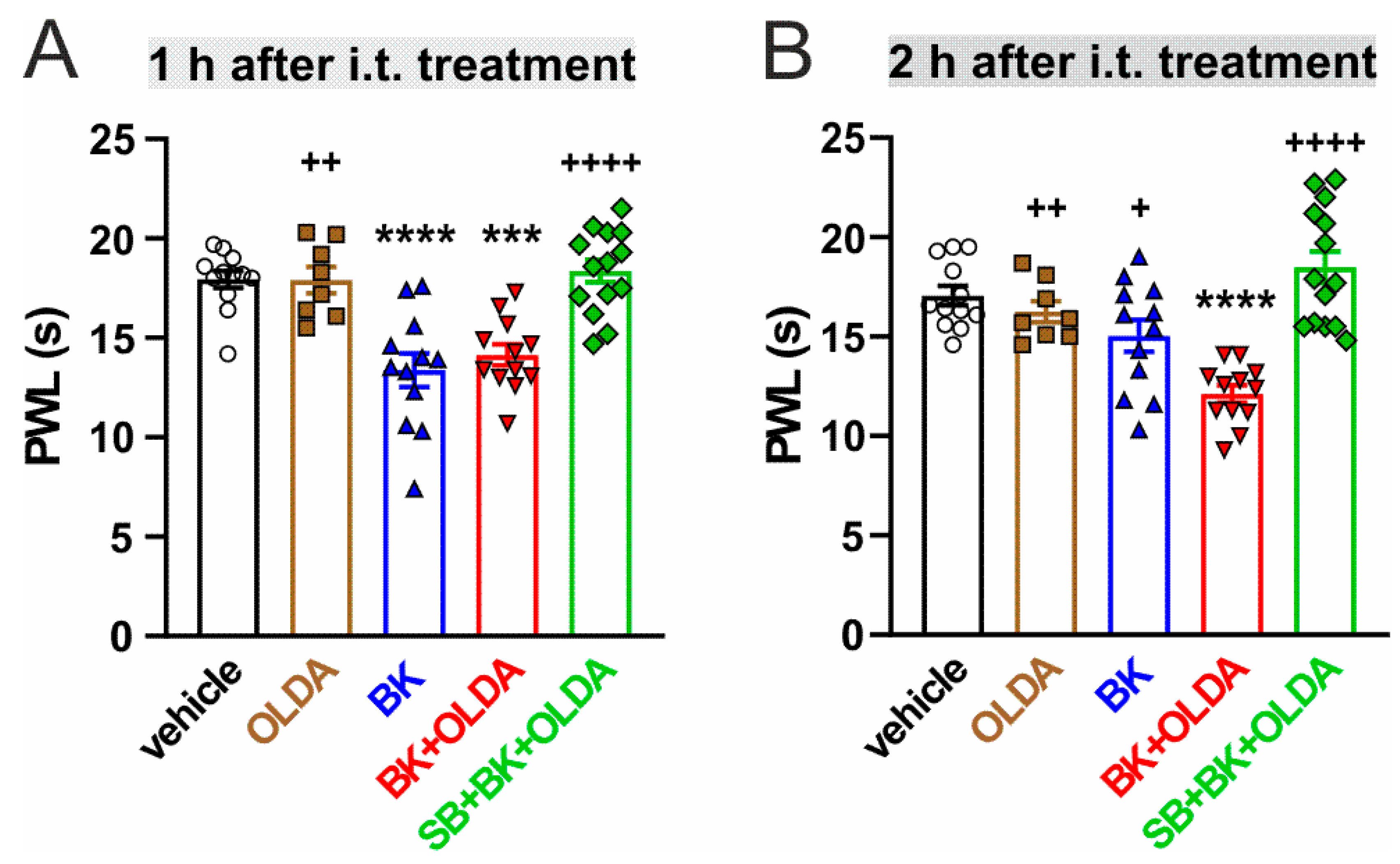 Ijms 22 03712 g002 Ijms 22 03712 g002