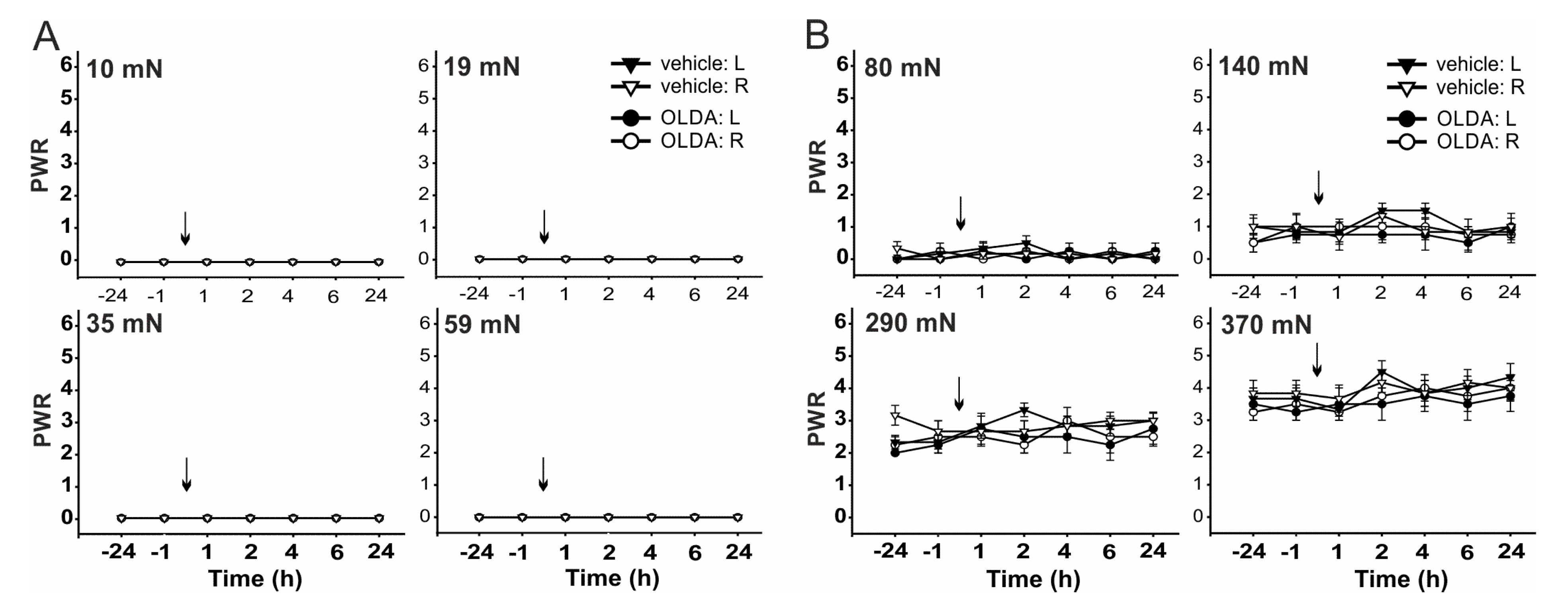 Ijms 22 03712 g003 Ijms 22 03712 g003