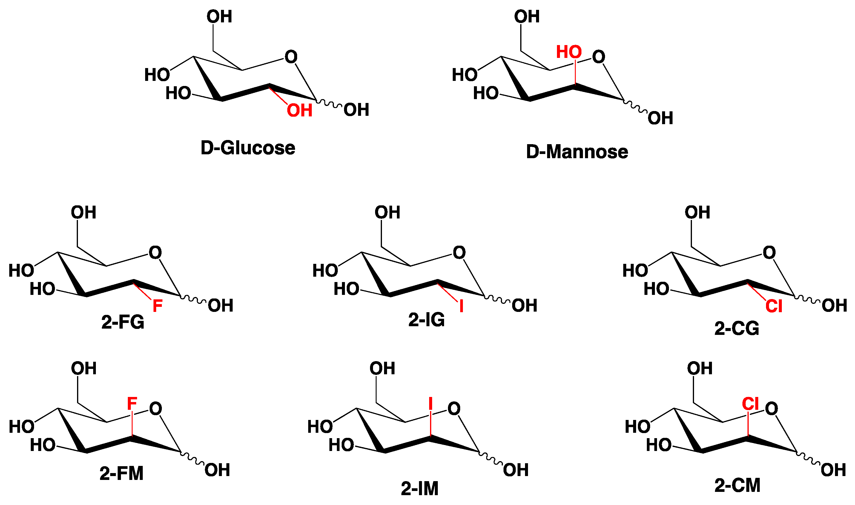 Glucose molecules. Structural chemical formulas of cyclic and acyclic  forms, 2d vector, isolated on white background, eps 8:: tasmeemME.com