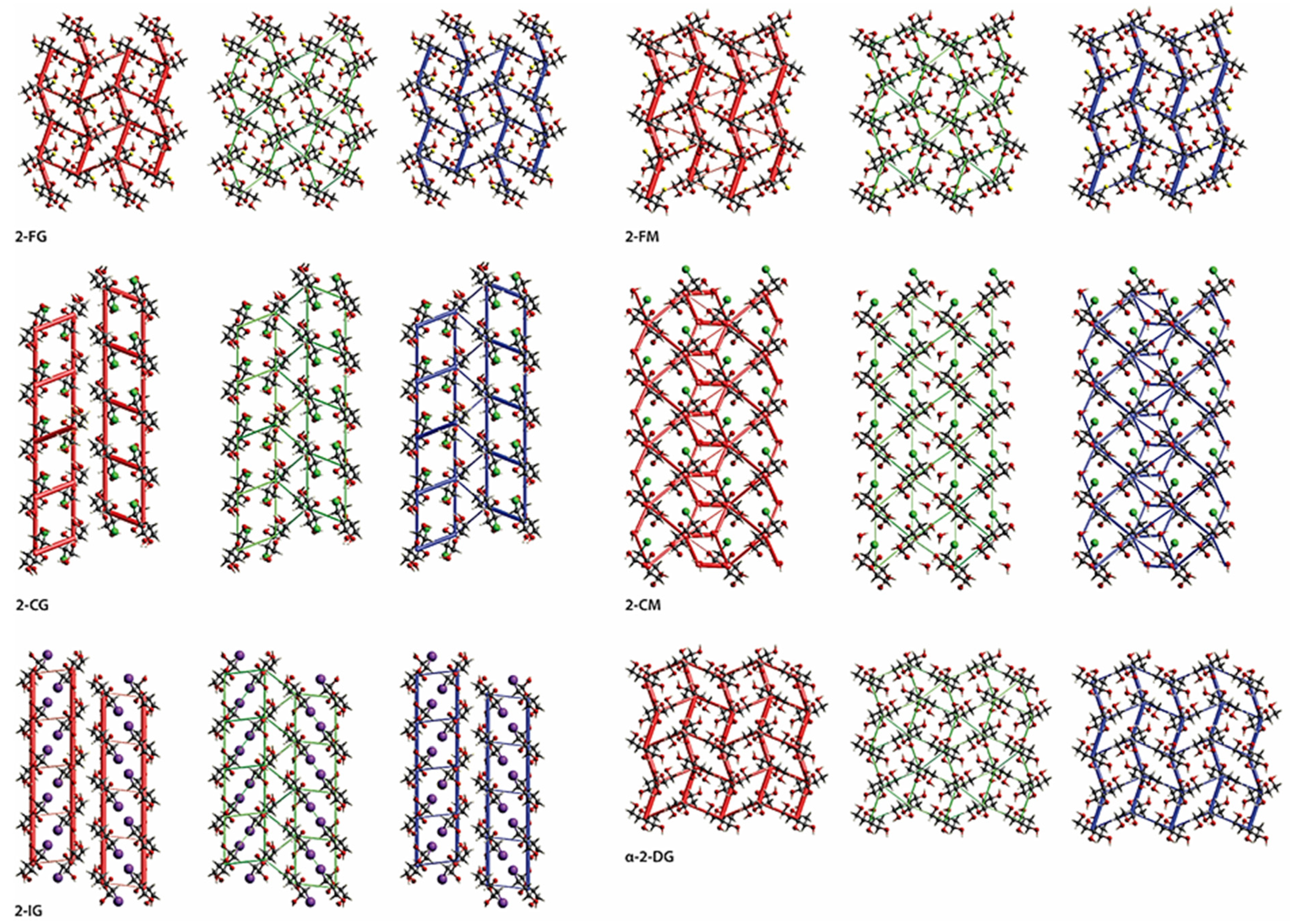 Ijms 22 03720 g006 Ijms 22 03720 g006