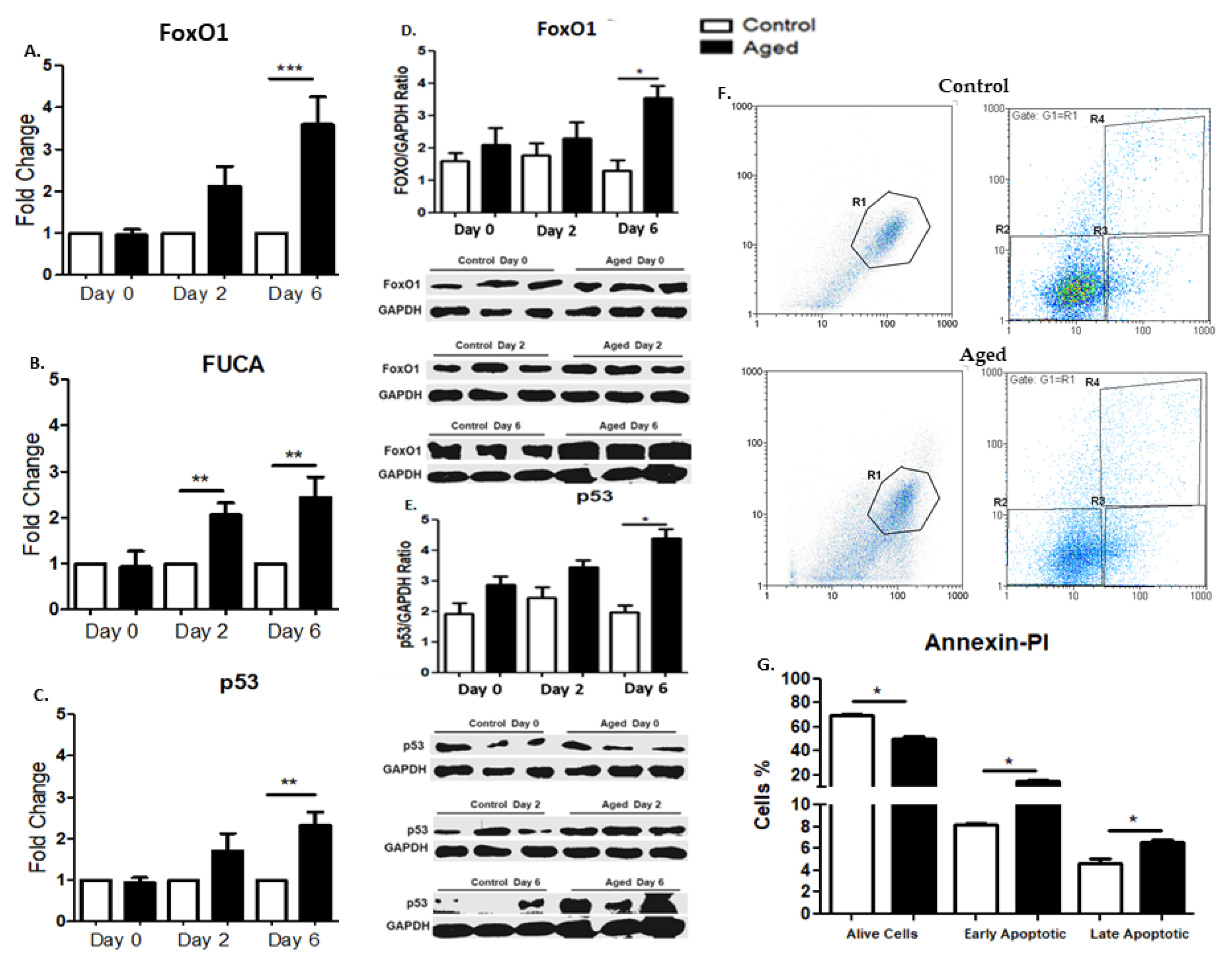 Ijms 22 03721 g004 Ijms 22 03721 g004