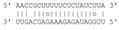 Ijms 22 03725 i005 Ijms 22 03725 i005