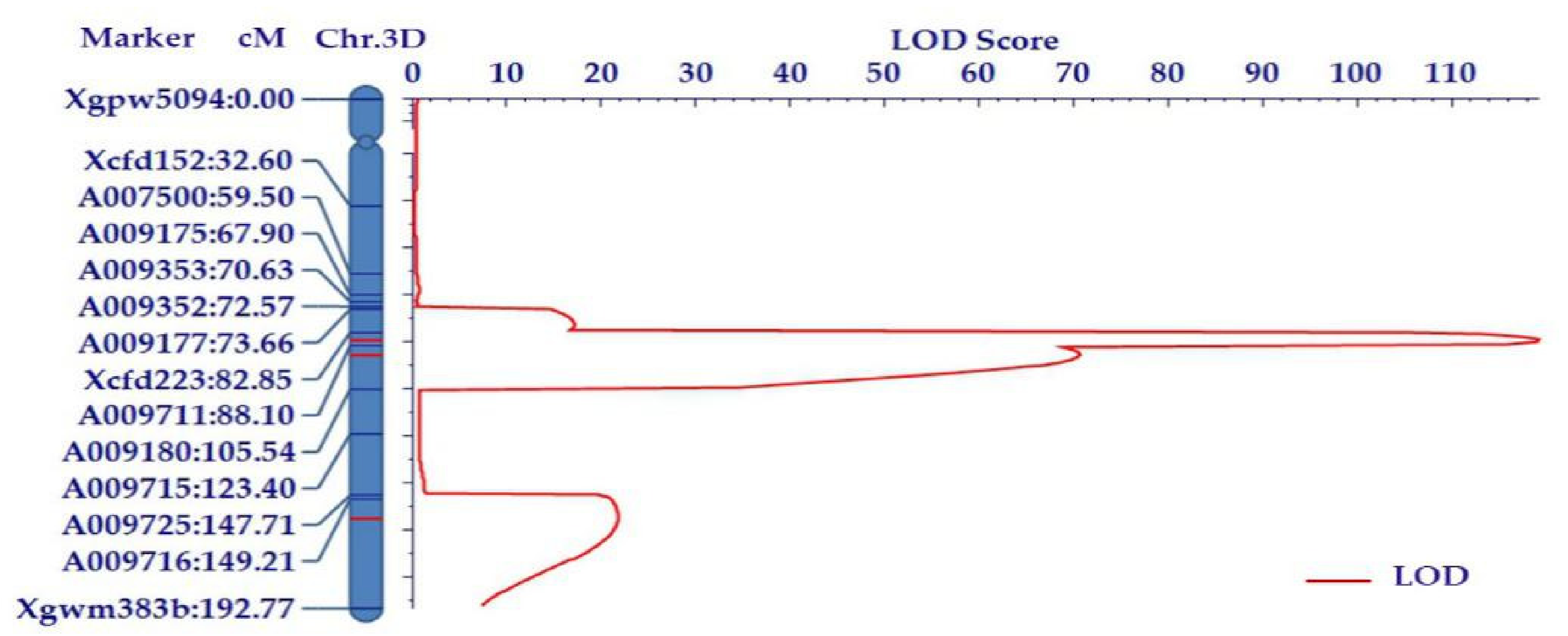 Ijms 22 03729 g002 Ijms 22 03729 g002