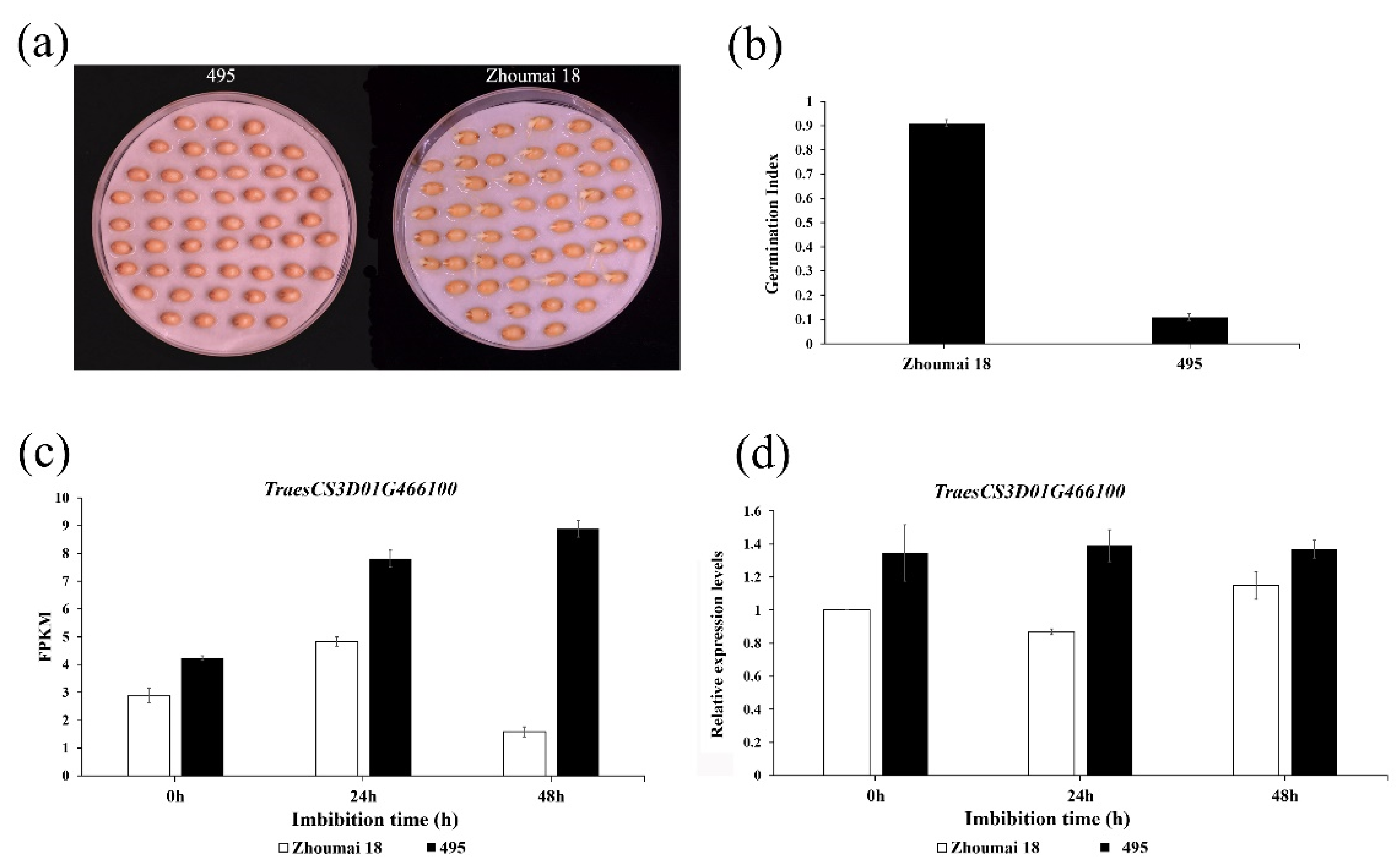 Ijms 22 03729 g003 Ijms 22 03729 g003