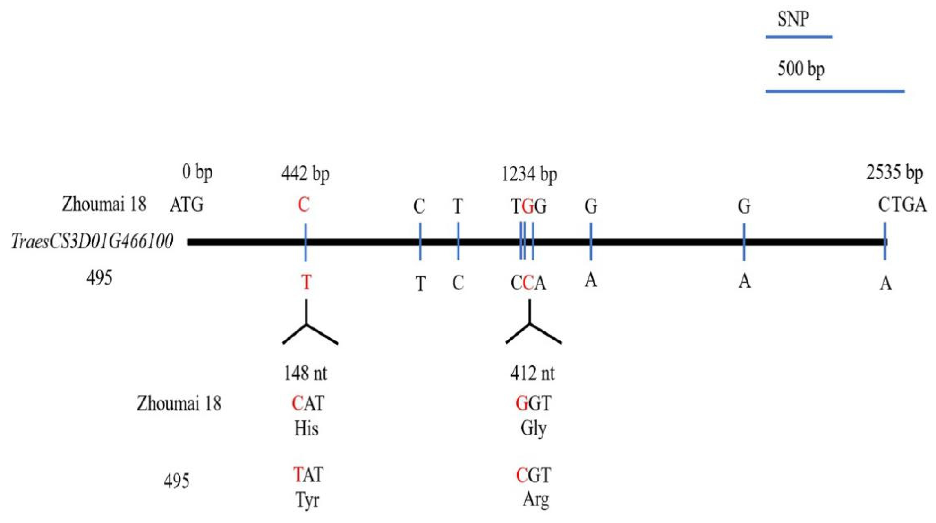 Ijms 22 03729 g004 Ijms 22 03729 g004