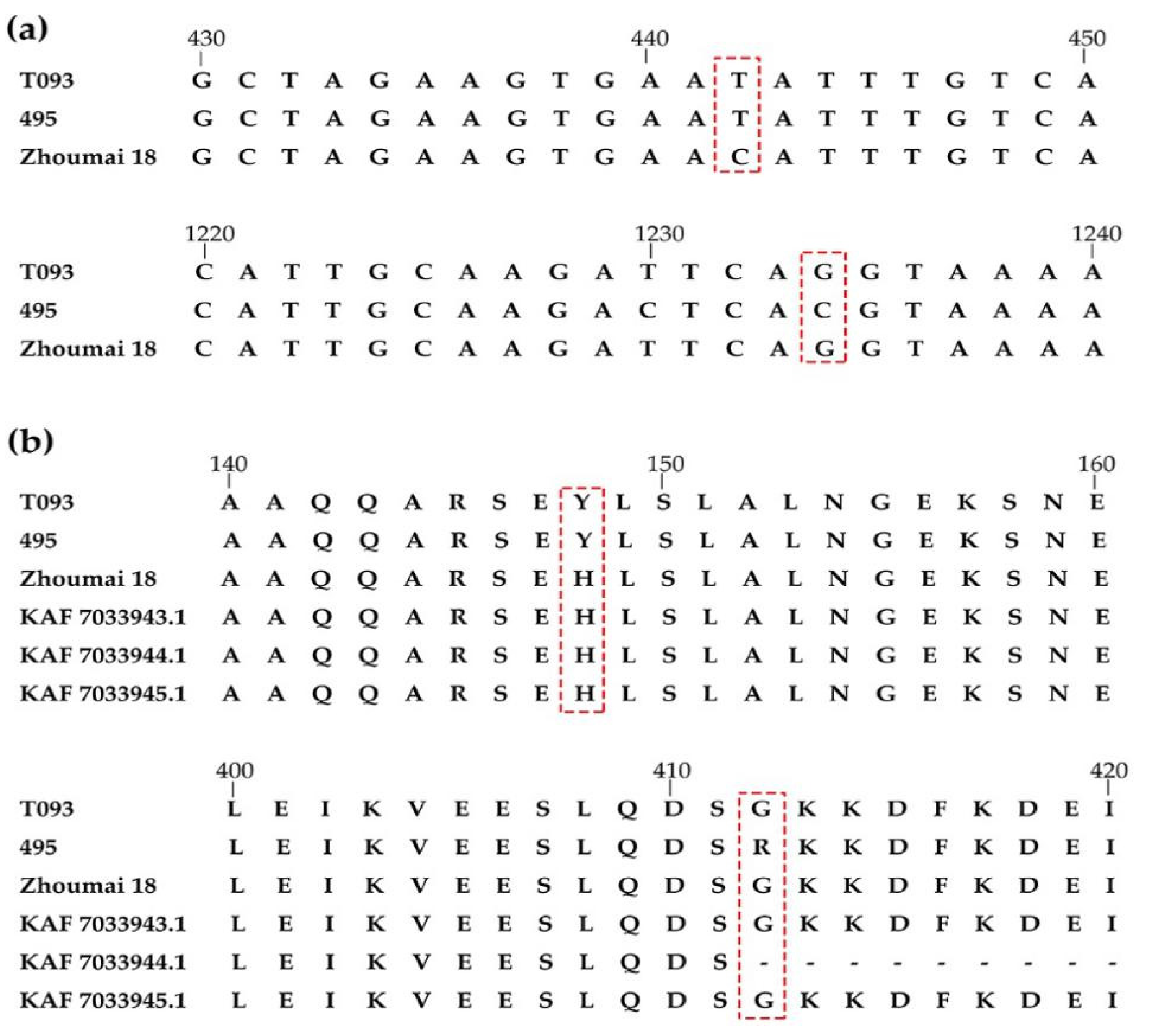 Ijms 22 03729 g005 Ijms 22 03729 g005