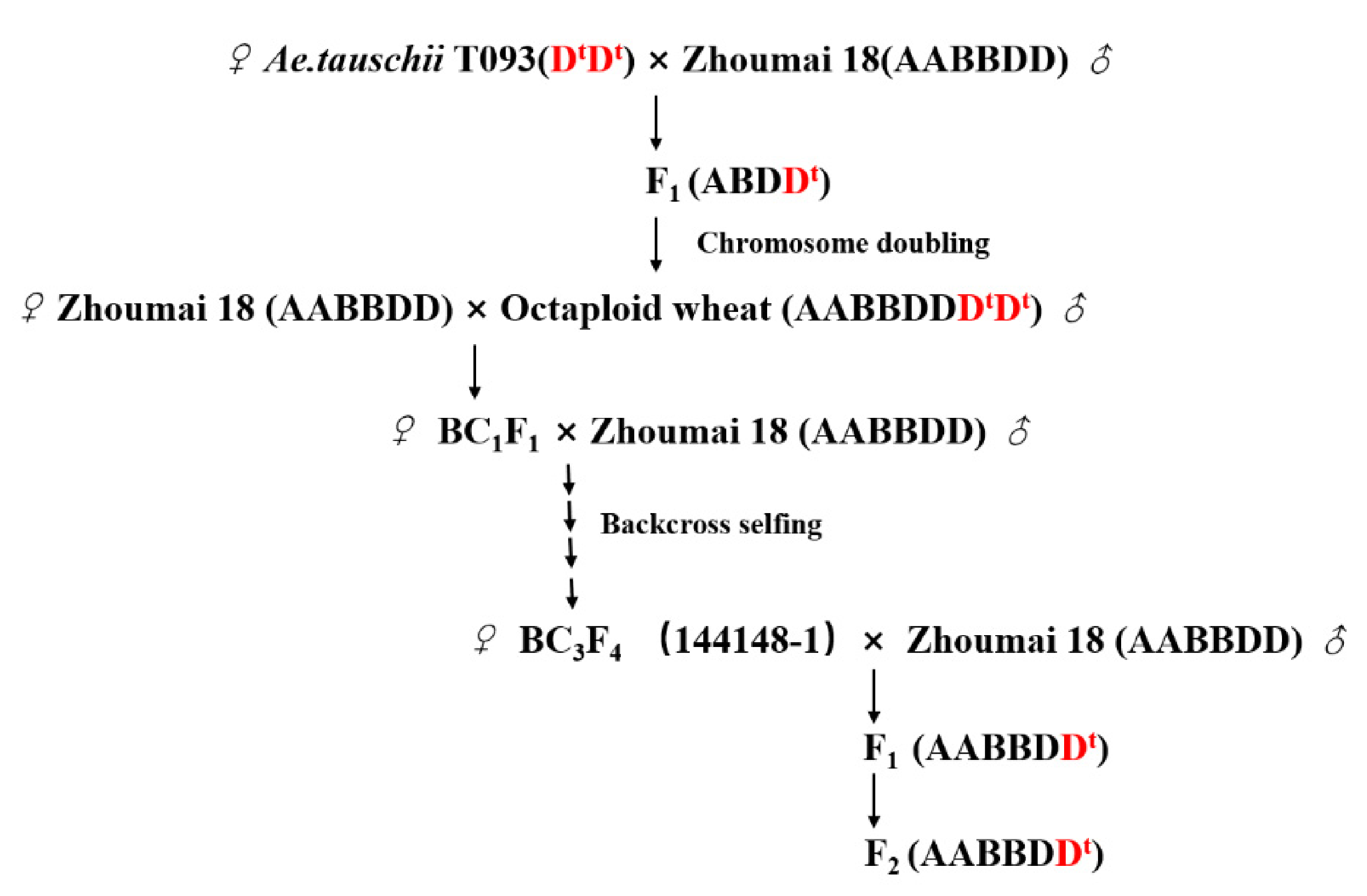 Ijms 22 03729 g006 Ijms 22 03729 g006