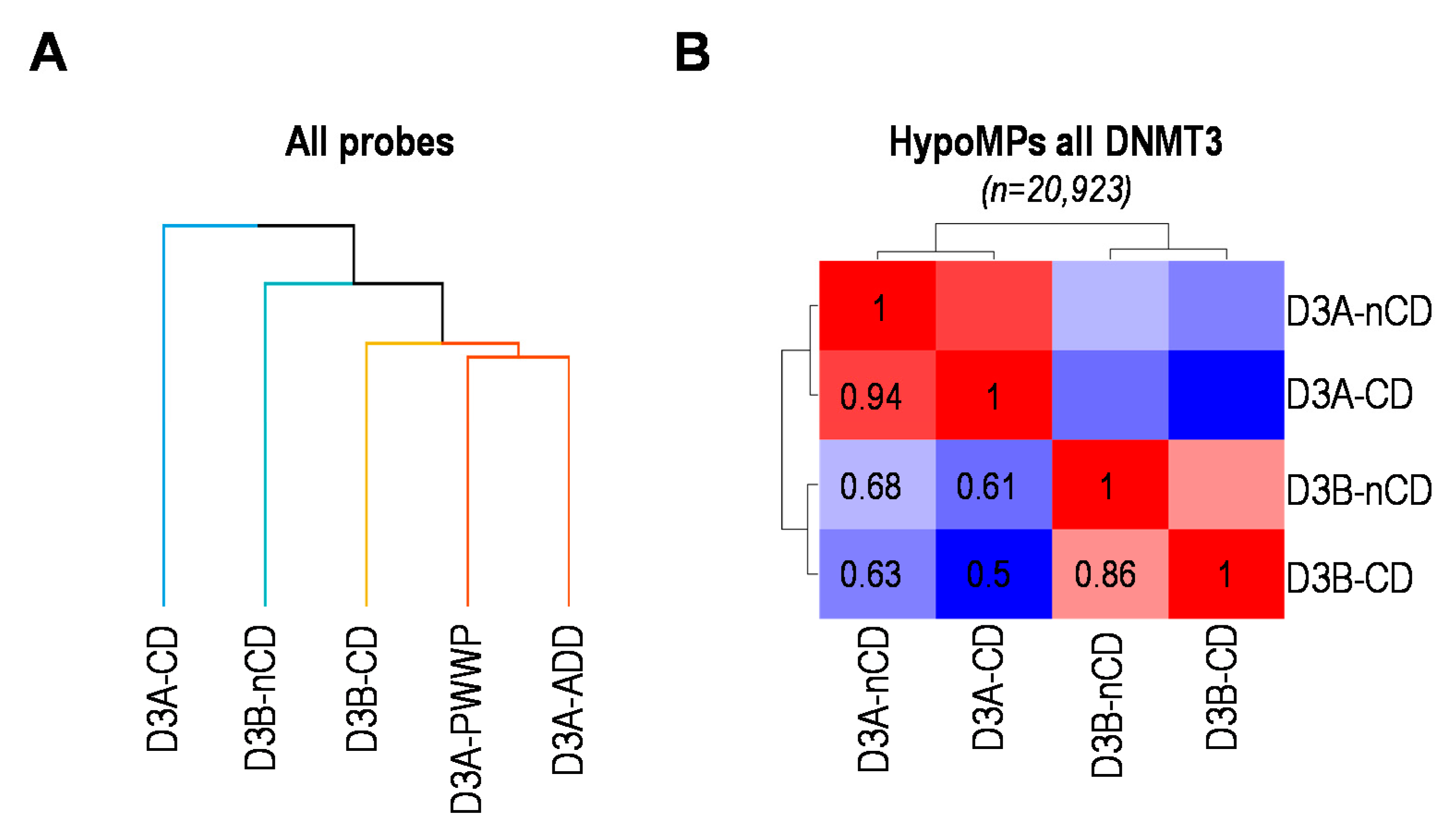 Ijms 22 03735 g003 Ijms 22 03735 g003
