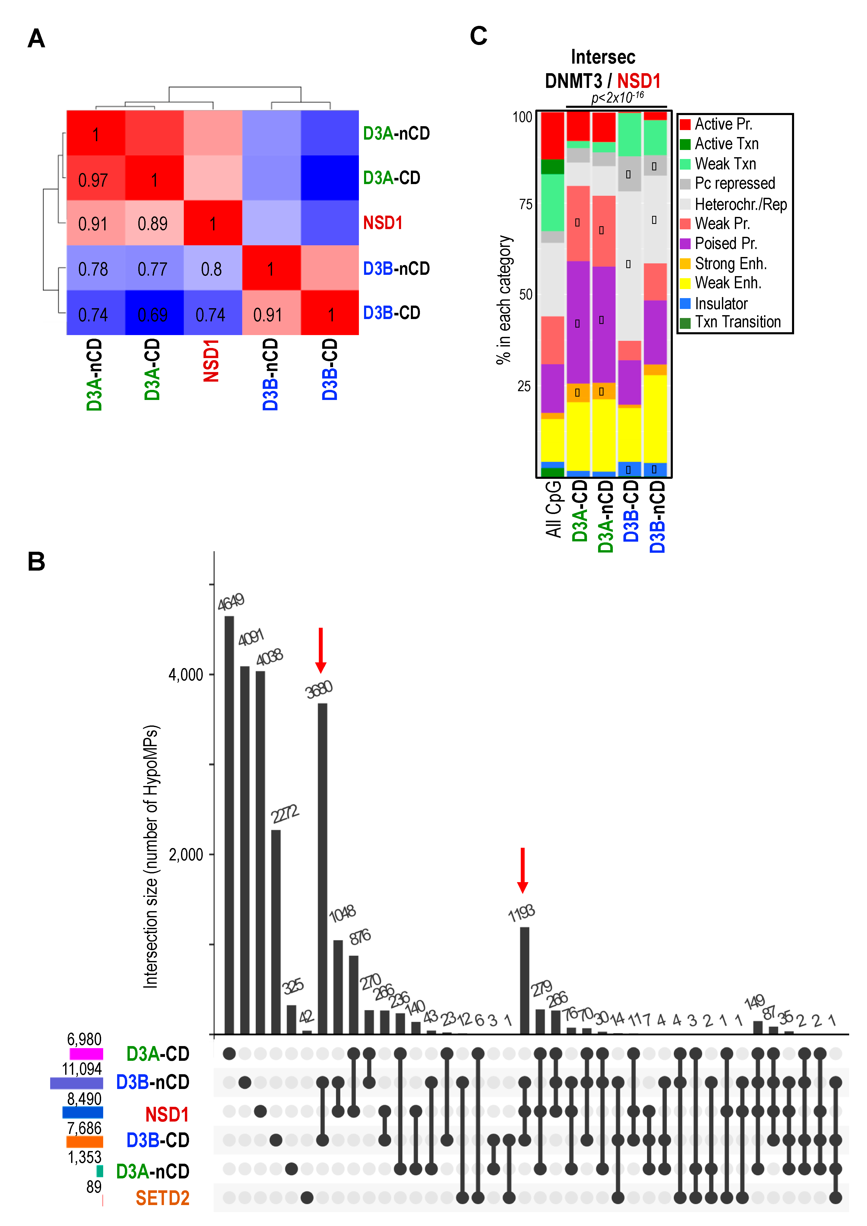 Ijms 22 03735 g004 Ijms 22 03735 g004