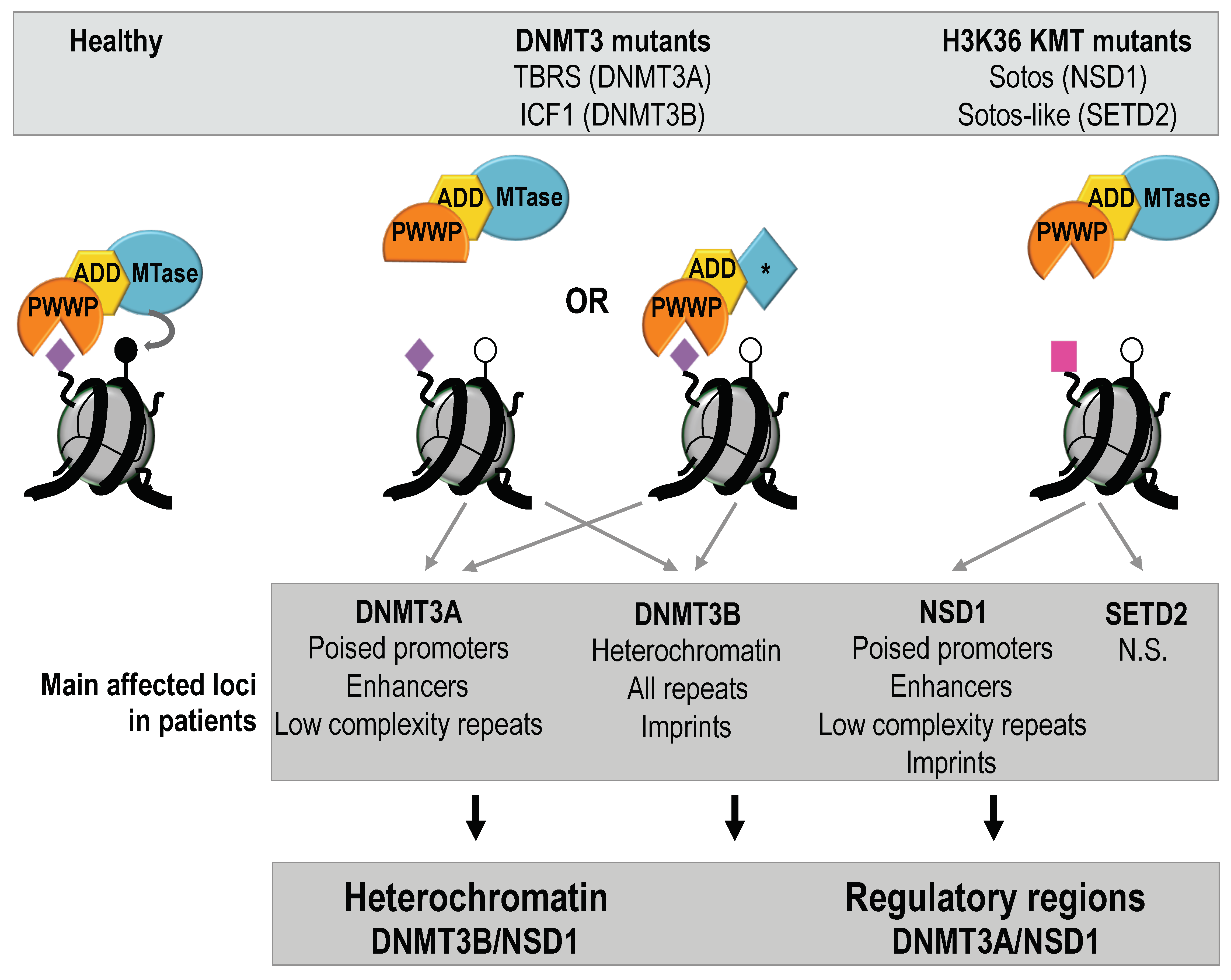 Ijms 22 03735 g005 Ijms 22 03735 g005